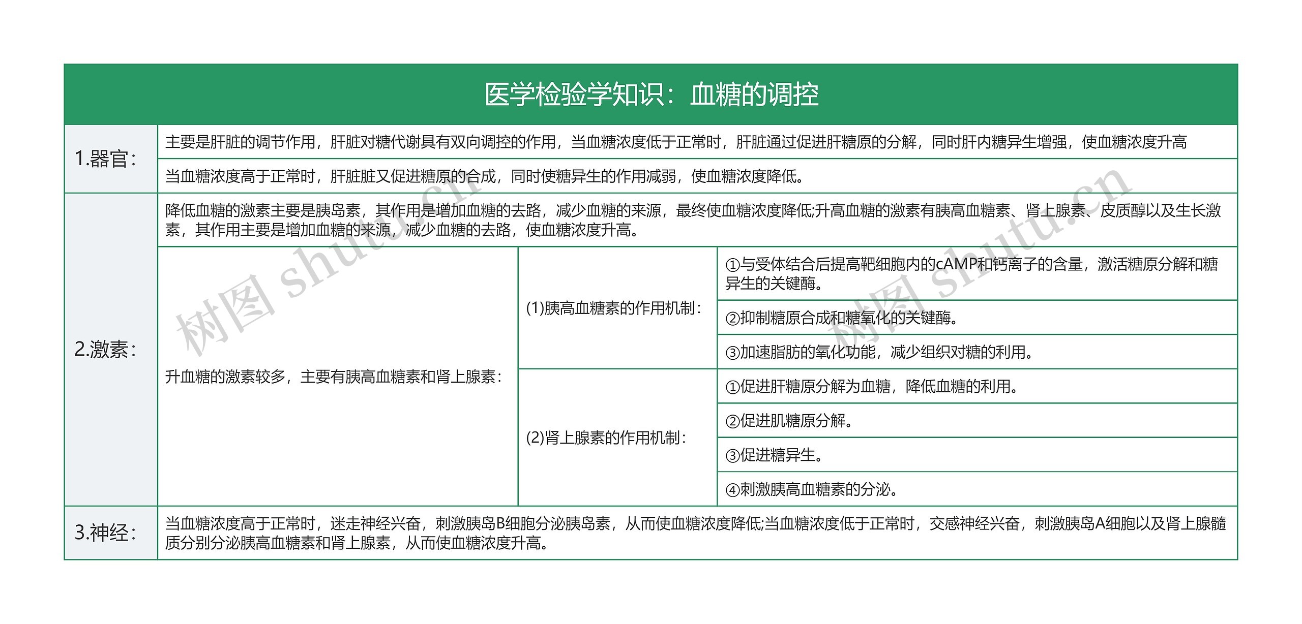 医学检验学知识：血糖的调控思维导图