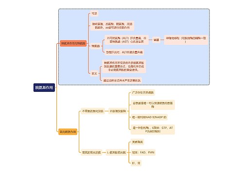 医学知识脱氨基作用思维导图