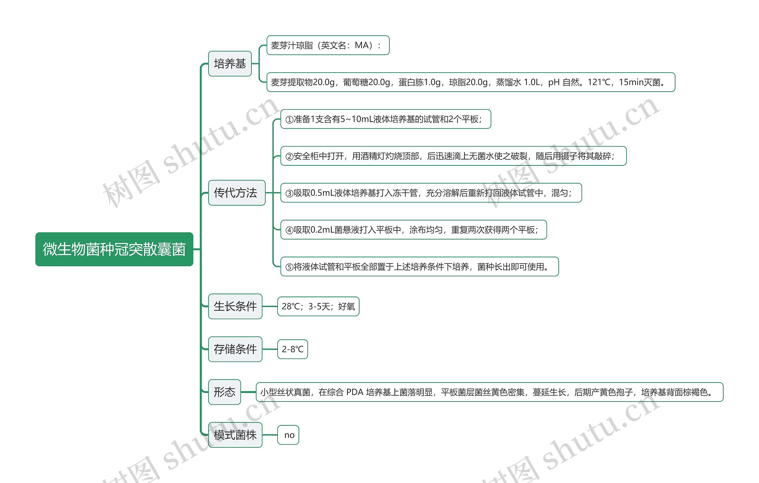 微生物菌种冠突散囊菌思维导图