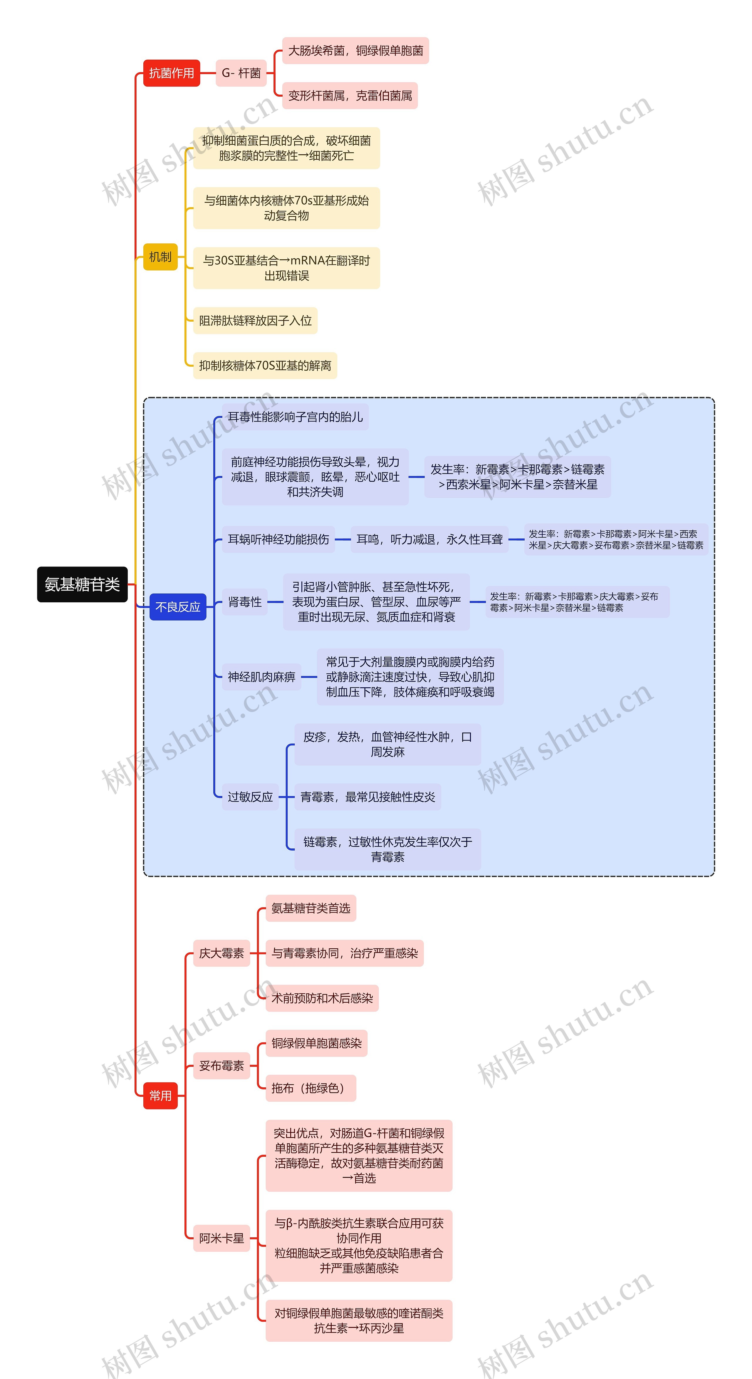 医学氨基糖苷类思维导图