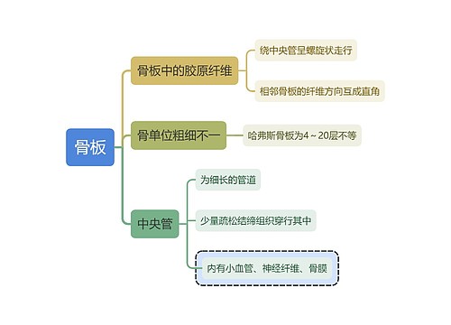 医学知识骨板思维导图