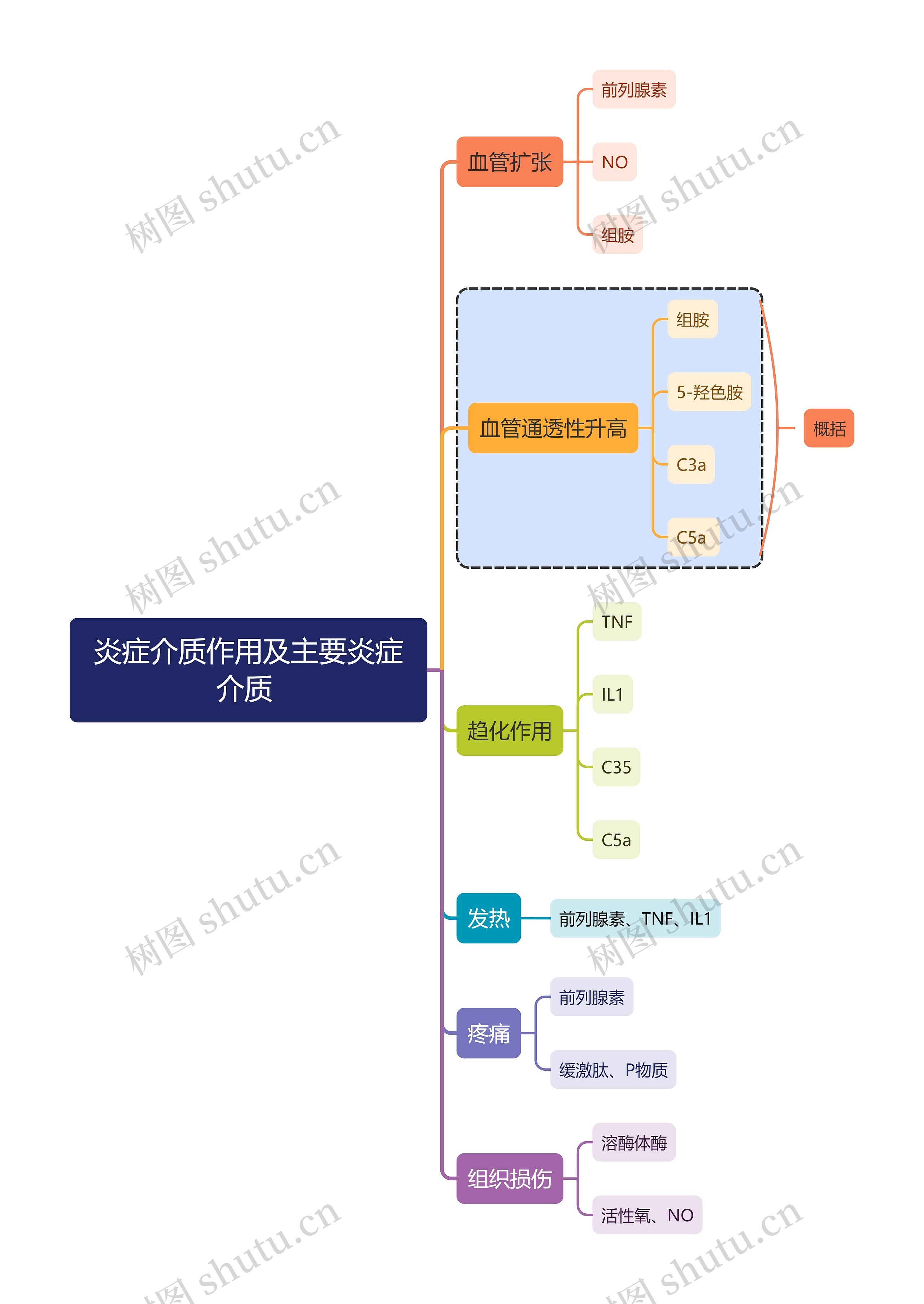 医学知识炎症介质作用及主要炎症介质 思维导图