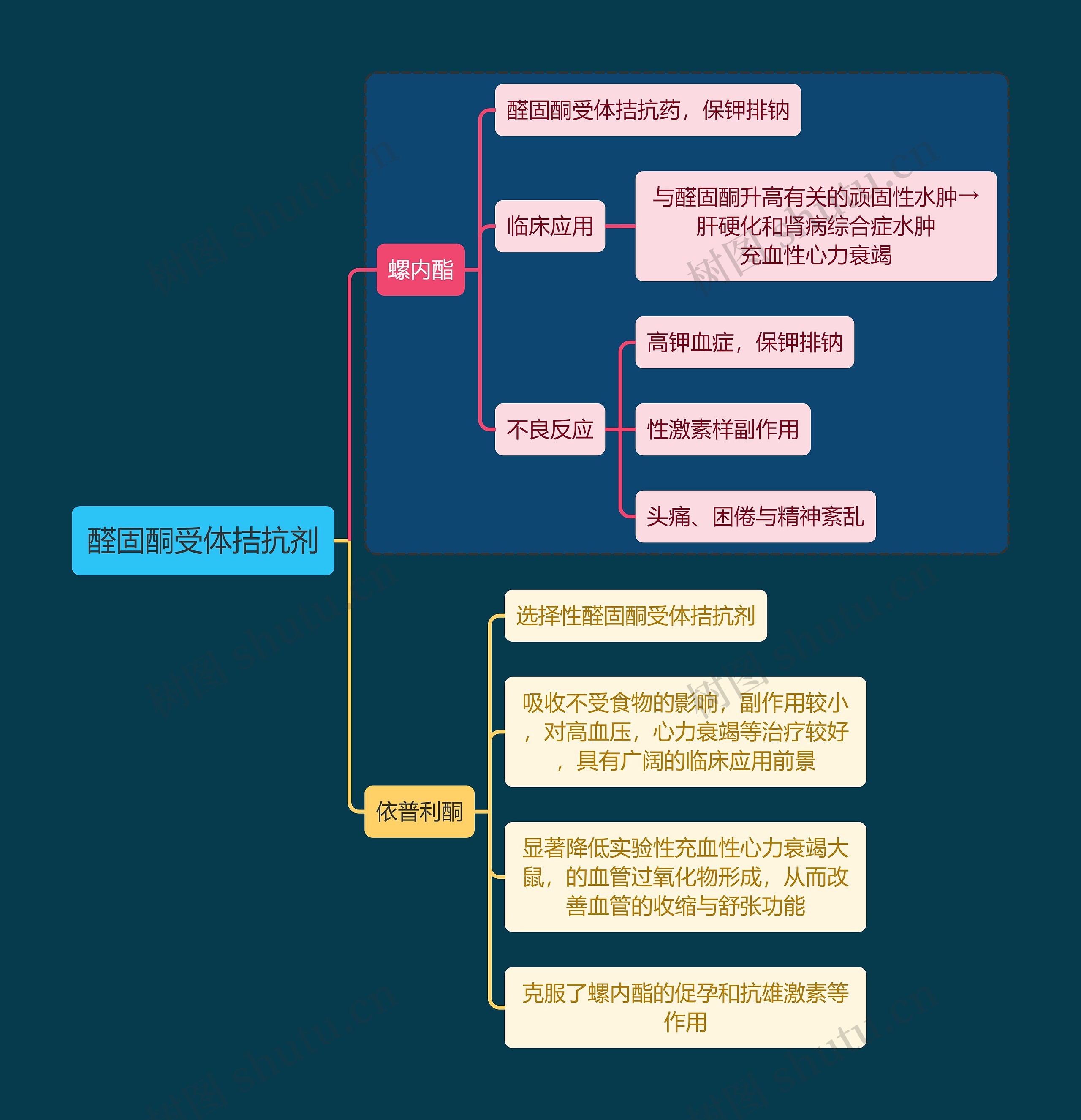 医学醛固酮受体拮抗剂思维导图