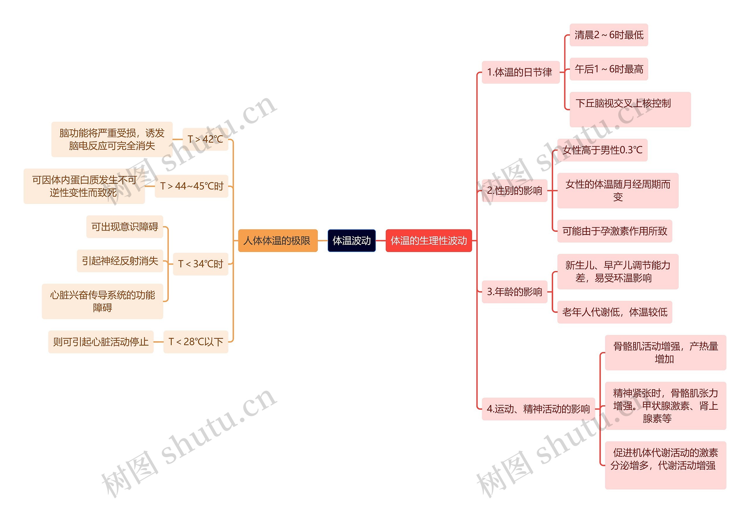 医学知识体温波动思维导图