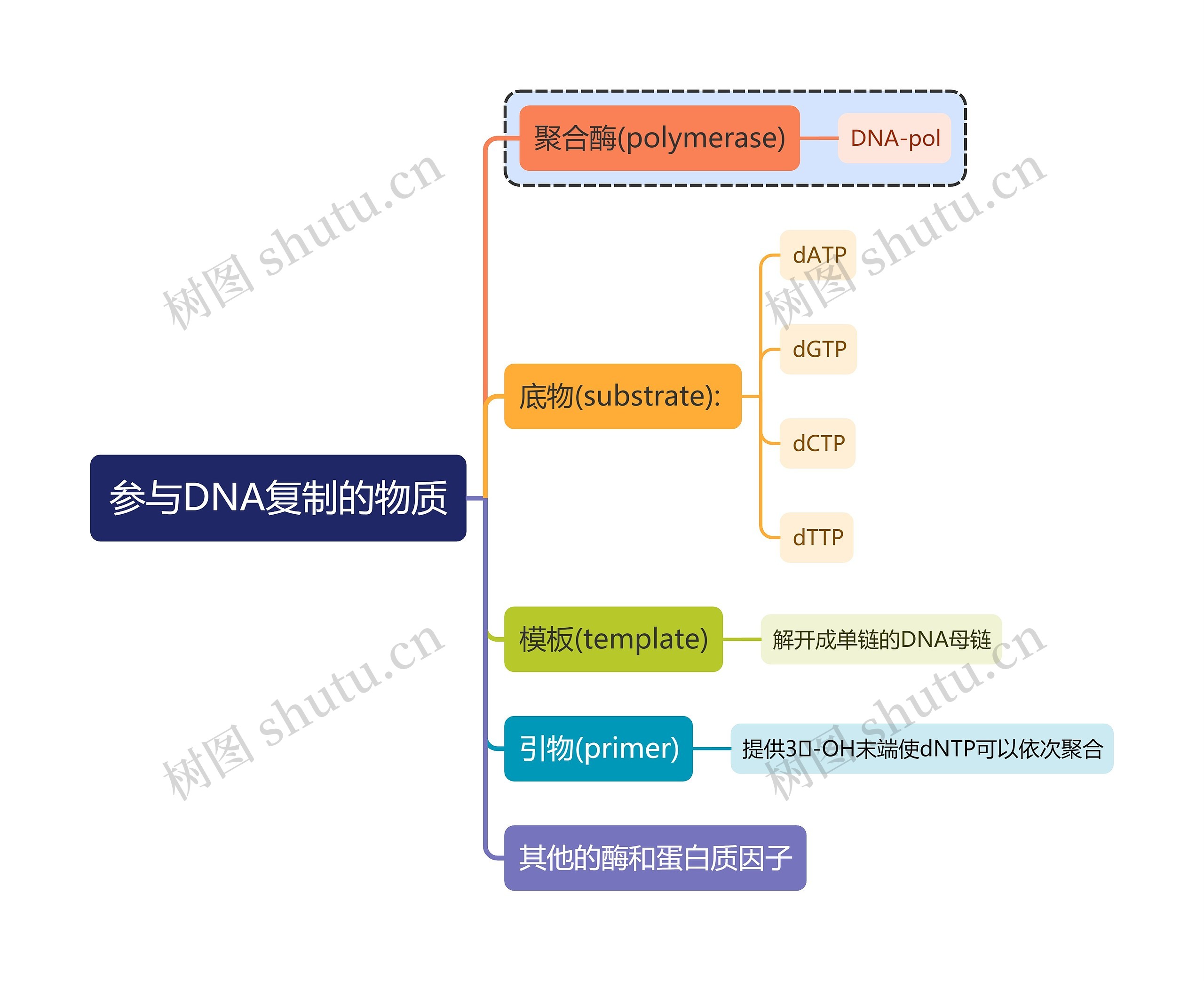 医学知识参与DNA复制的物质思维导图