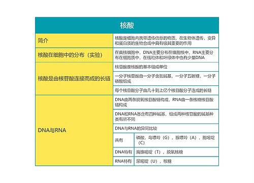 高中生物必修一第二单元核酸思维导图