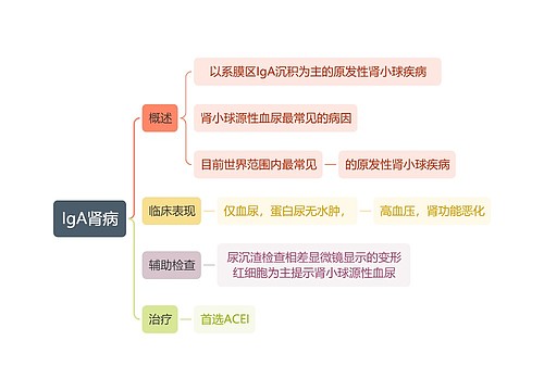 内科学知识IgA肾病思维导图