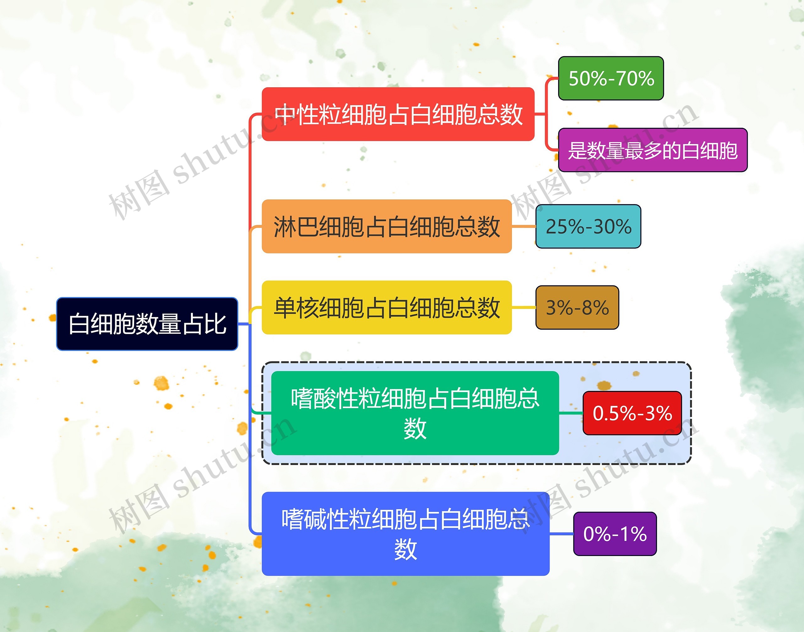 医学知识白细胞数量占比思维导图