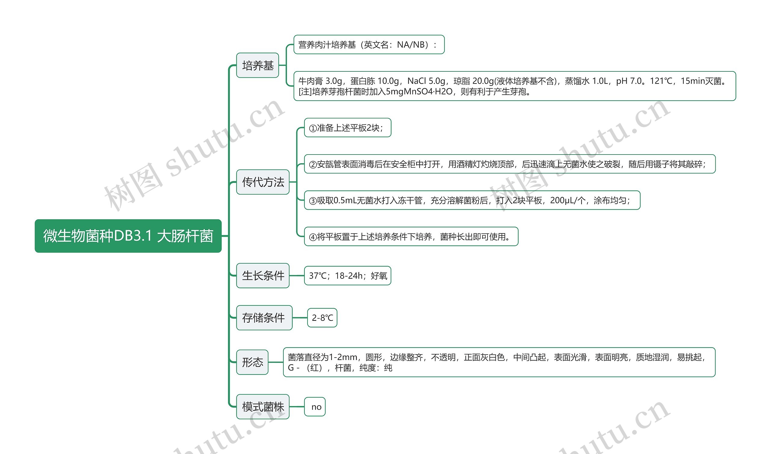 微生物菌种DB3.1 大肠杆菌思维导图