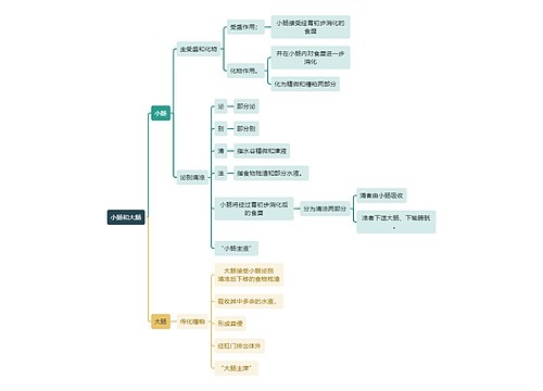 中医知识小肠和大肠思维导图