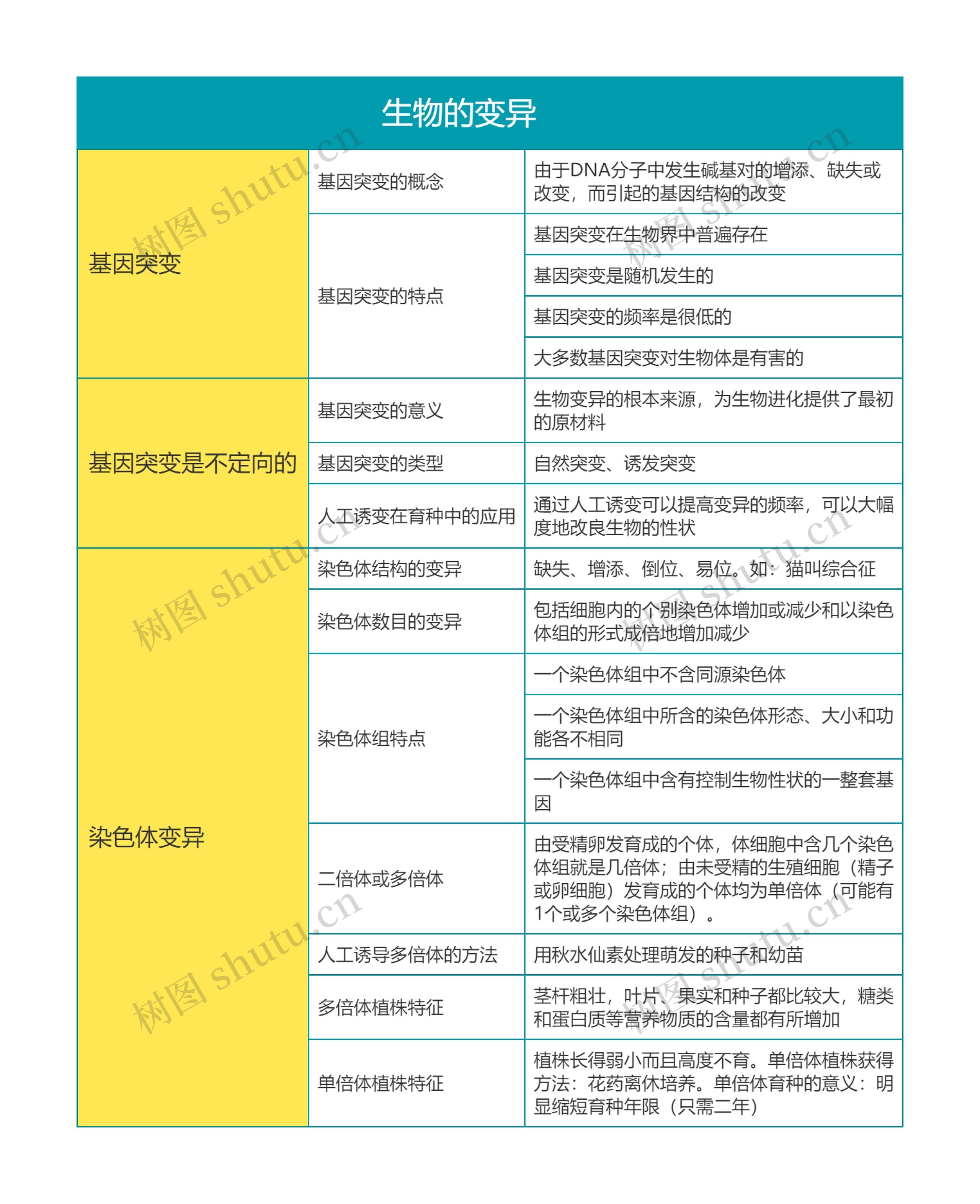 高中生物必修二生物的变异　思维导图