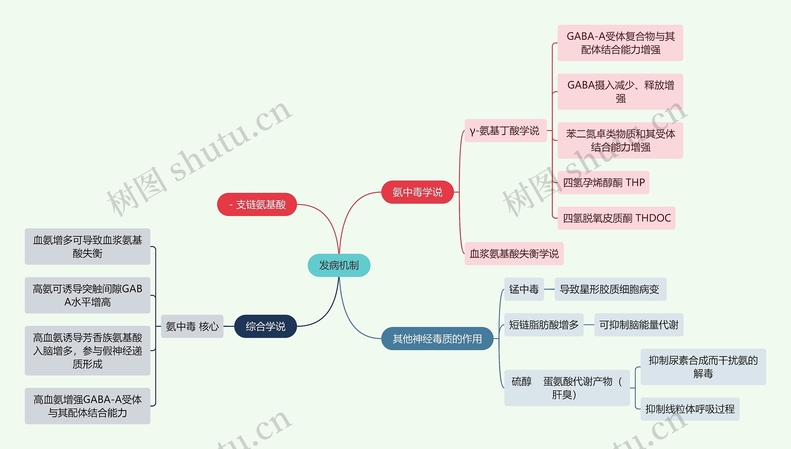 医学知识脑病发病机制思维导图