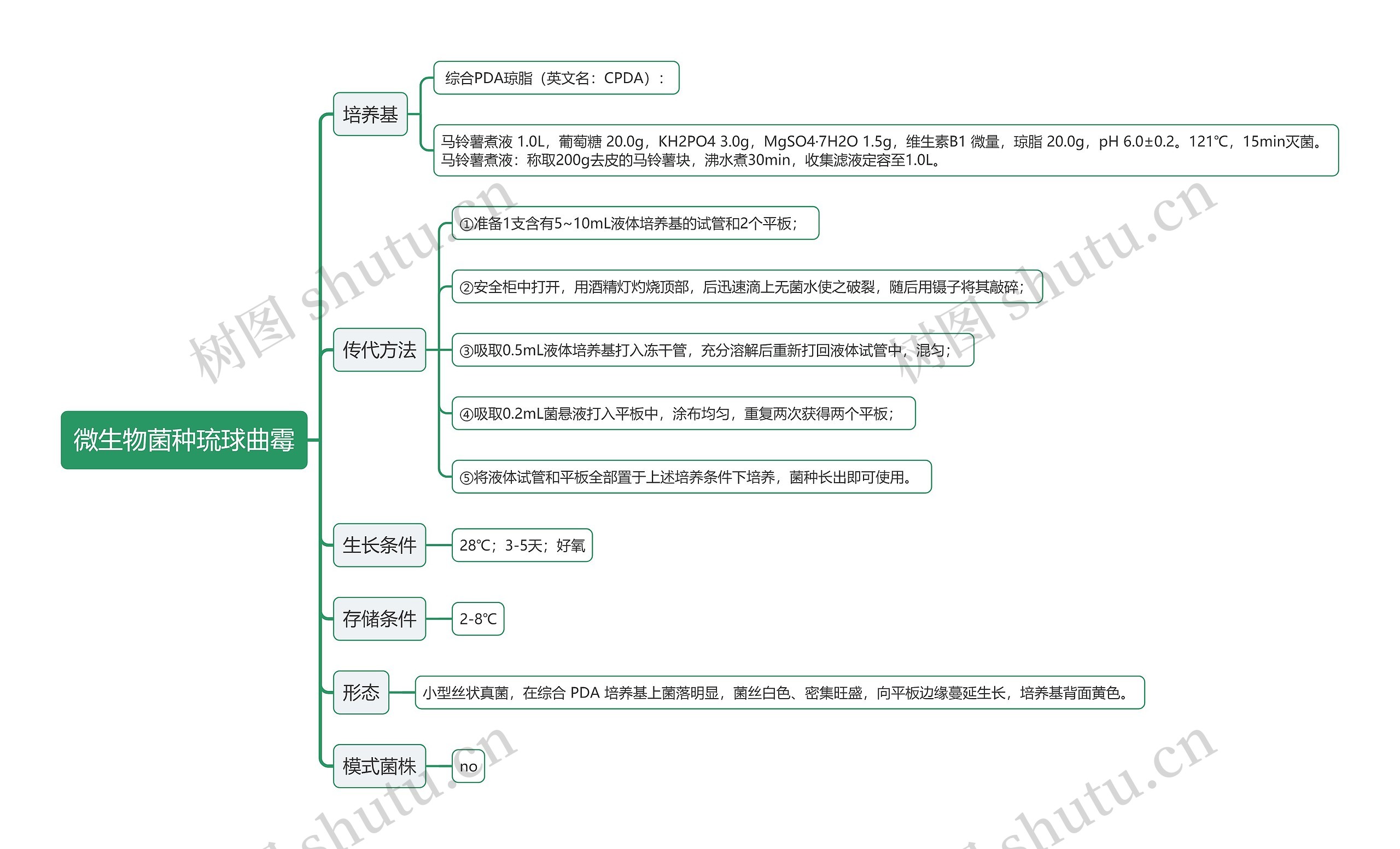 微生物菌种琉球曲霉思维导图