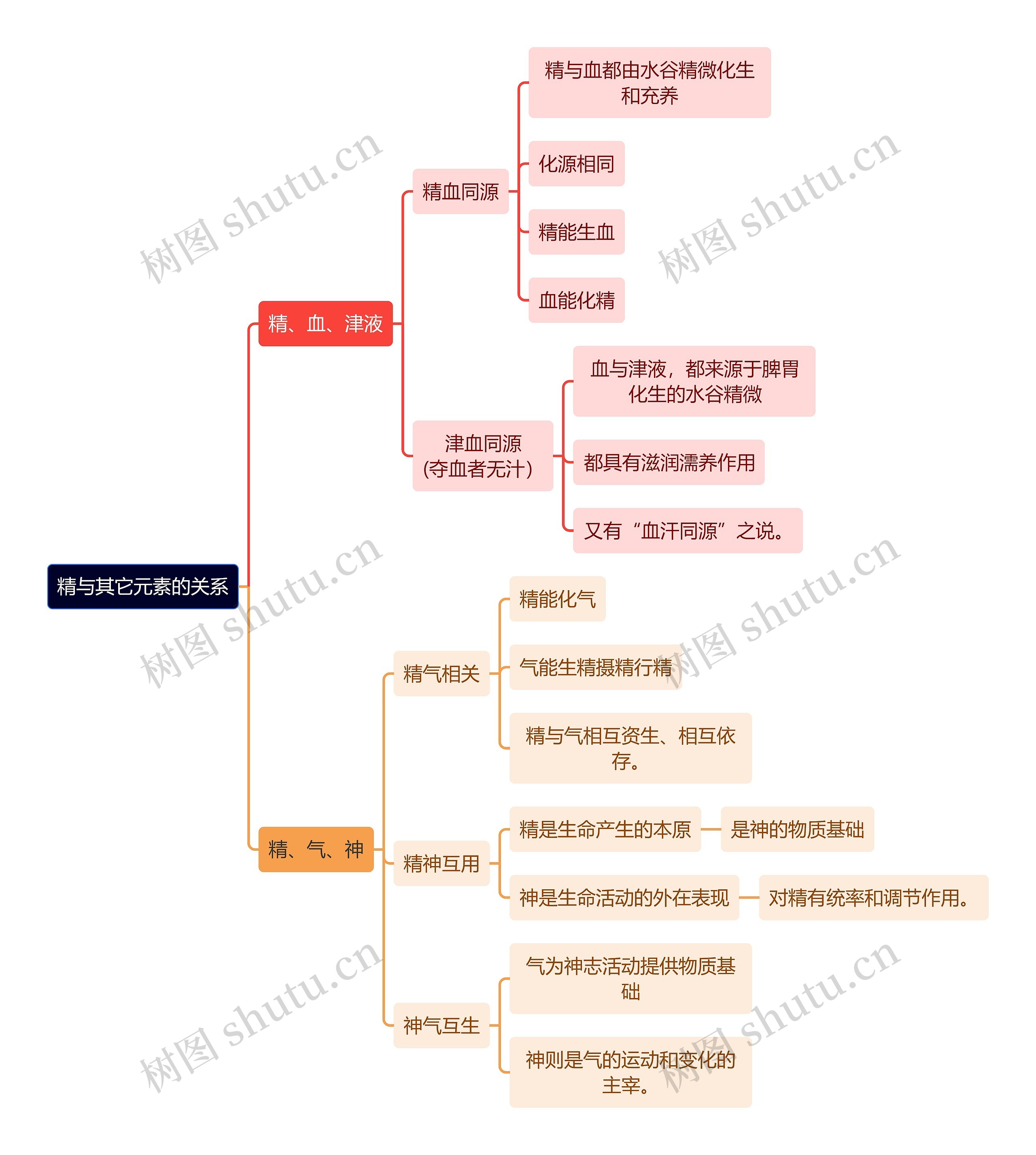 中医知识精与其它元素的关系思维导图