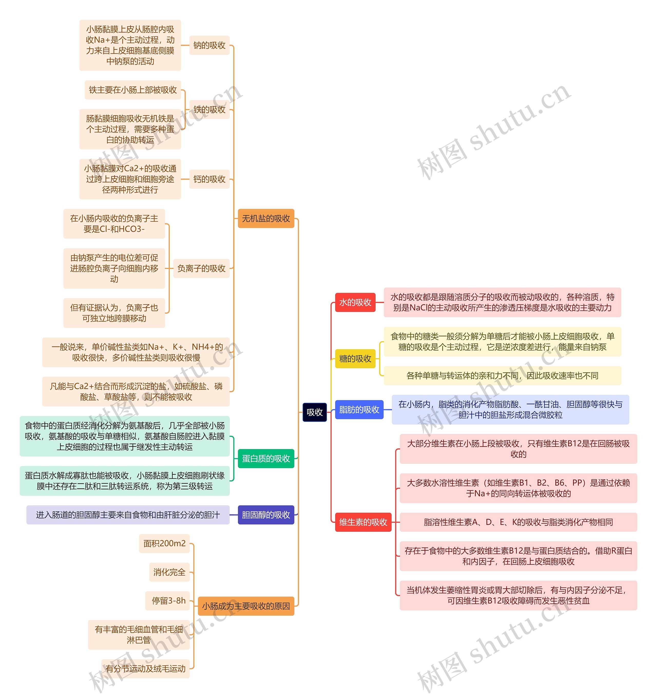 医学知识吸收思维导图