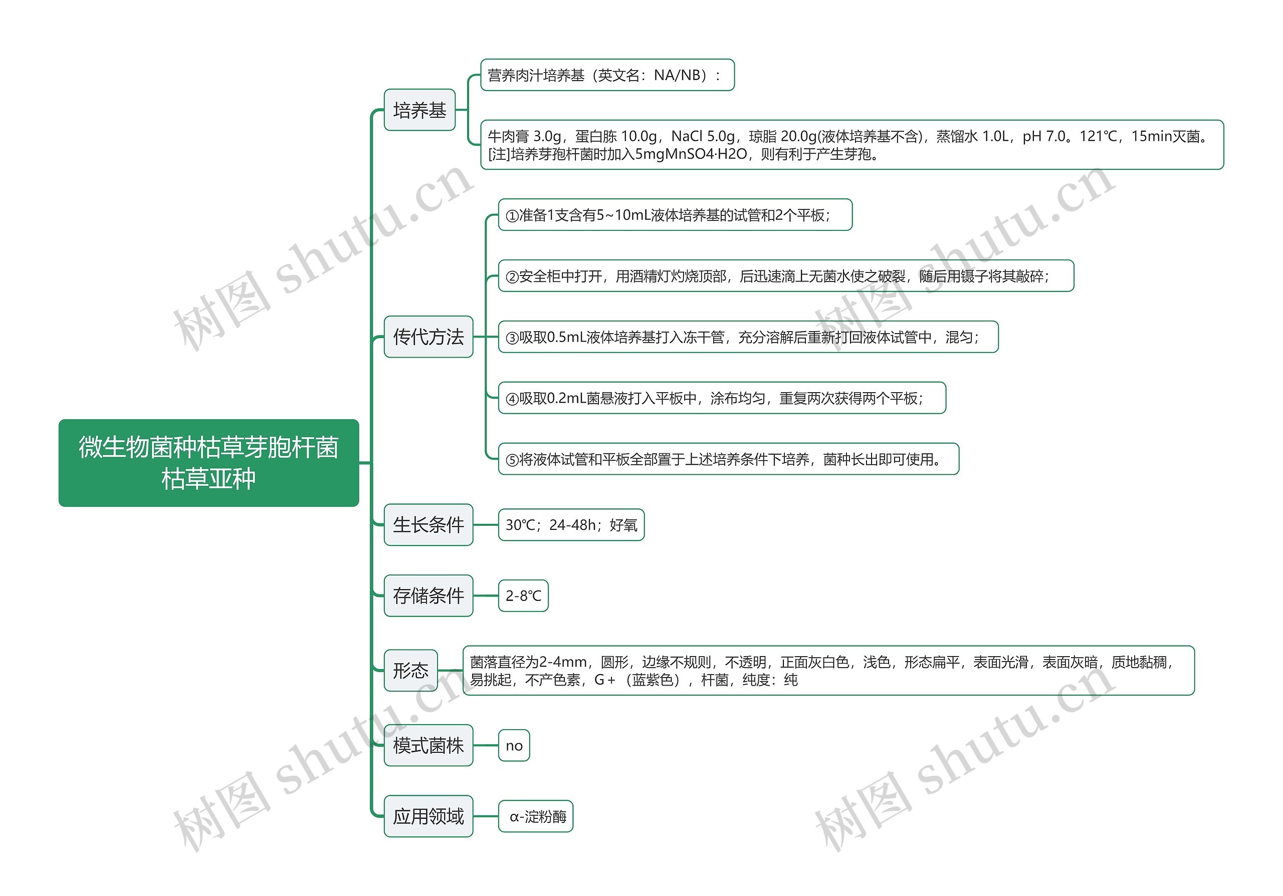 微生物菌种枯草芽胞杆菌枯草亚种思维导图