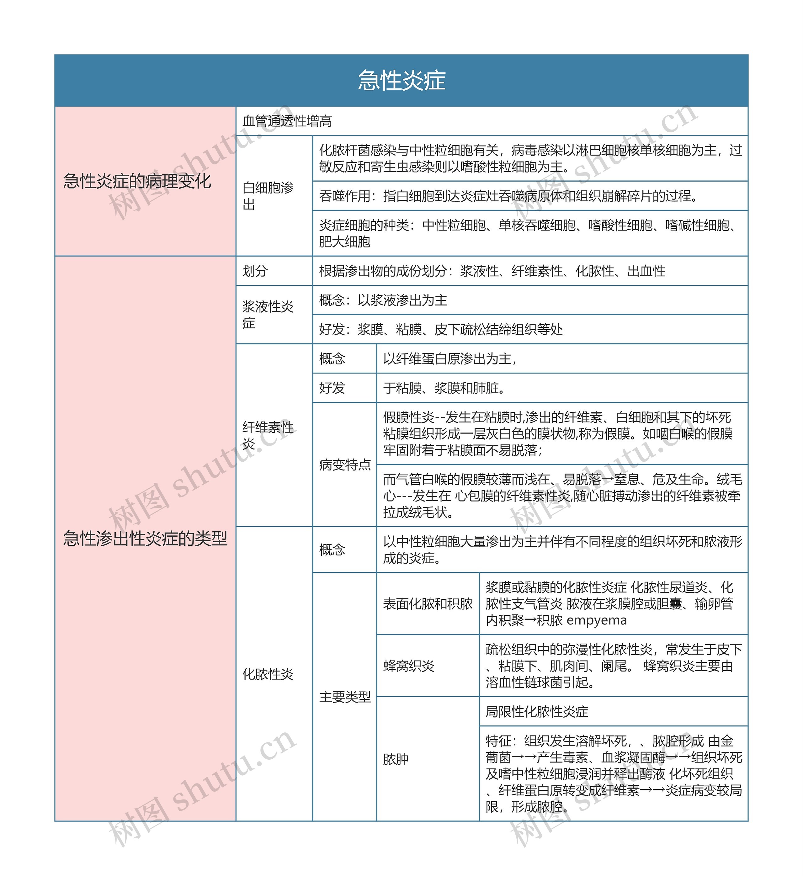 病理学  急性炎症思维导图