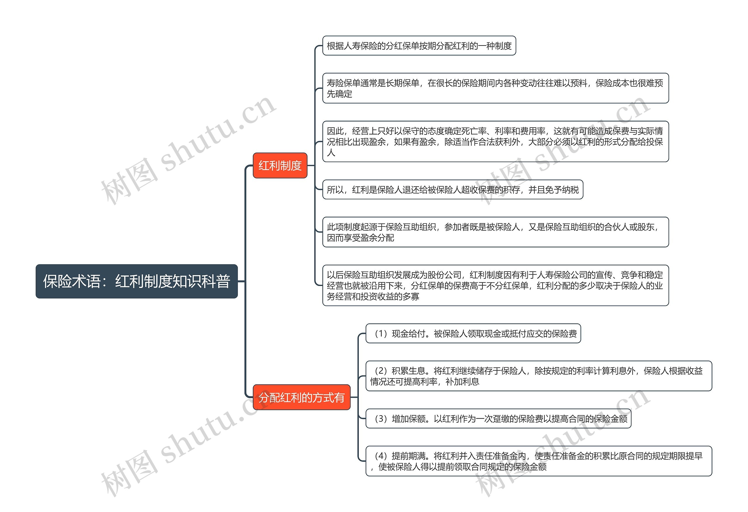 保险术语：红利制度知识科普