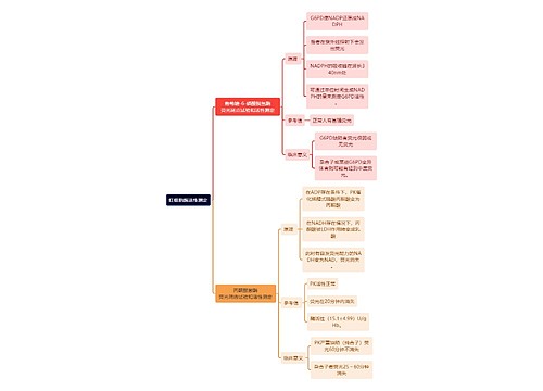 医学知识红细胞酶活性测定思维导图