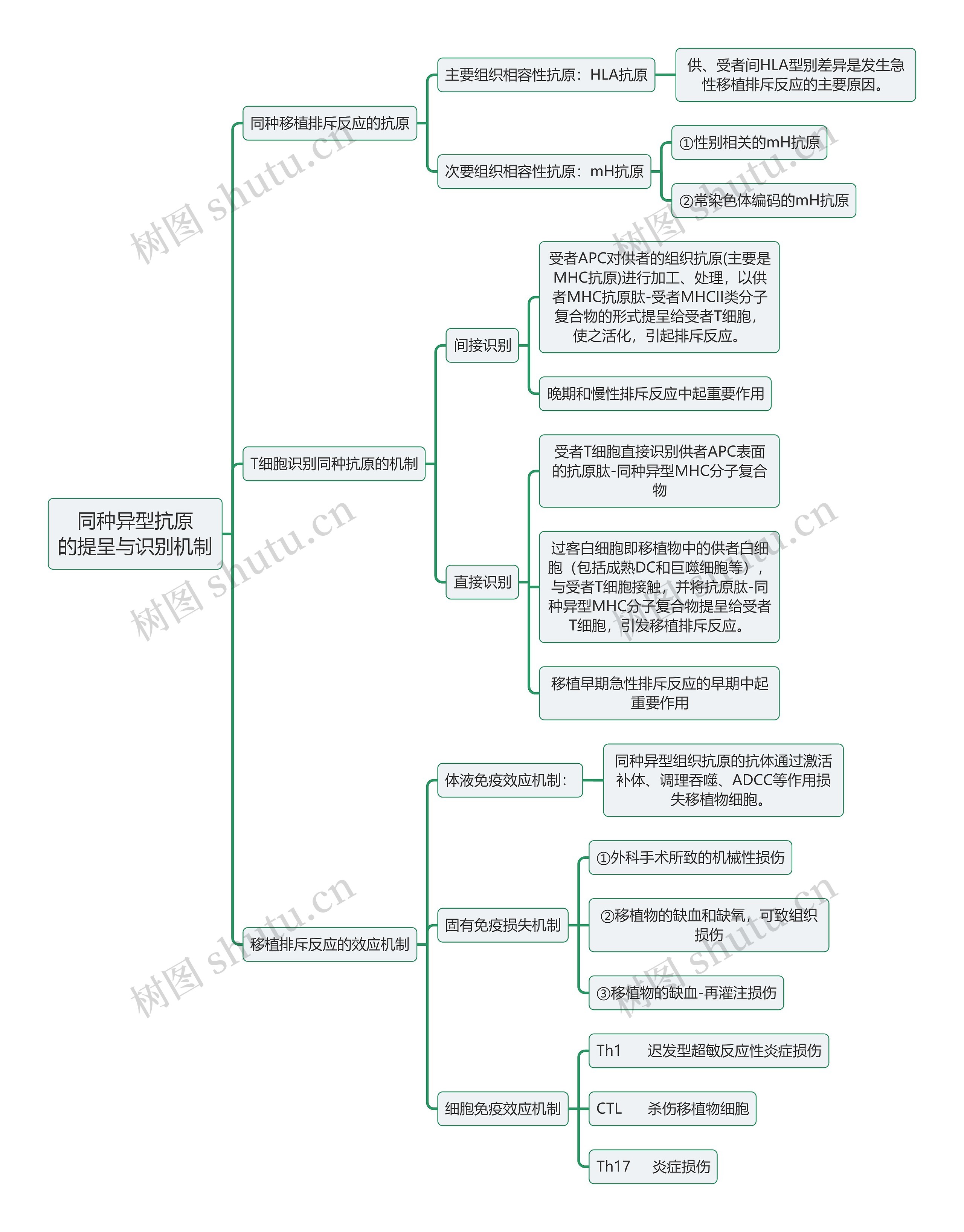 医学知识同种异型抗原的提呈与识别机制思维导图