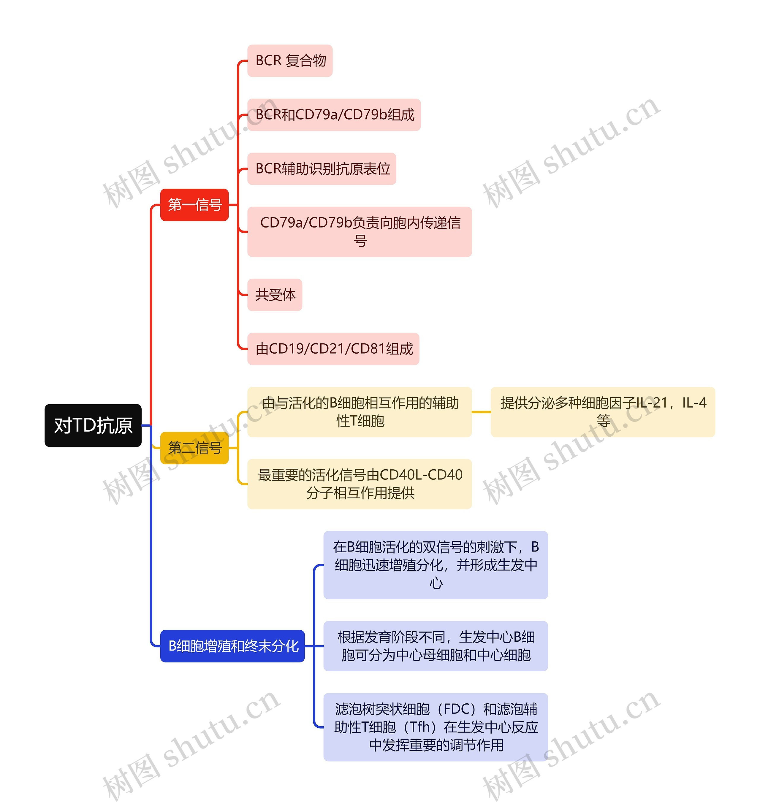 医学知识对TD抗原思维导图