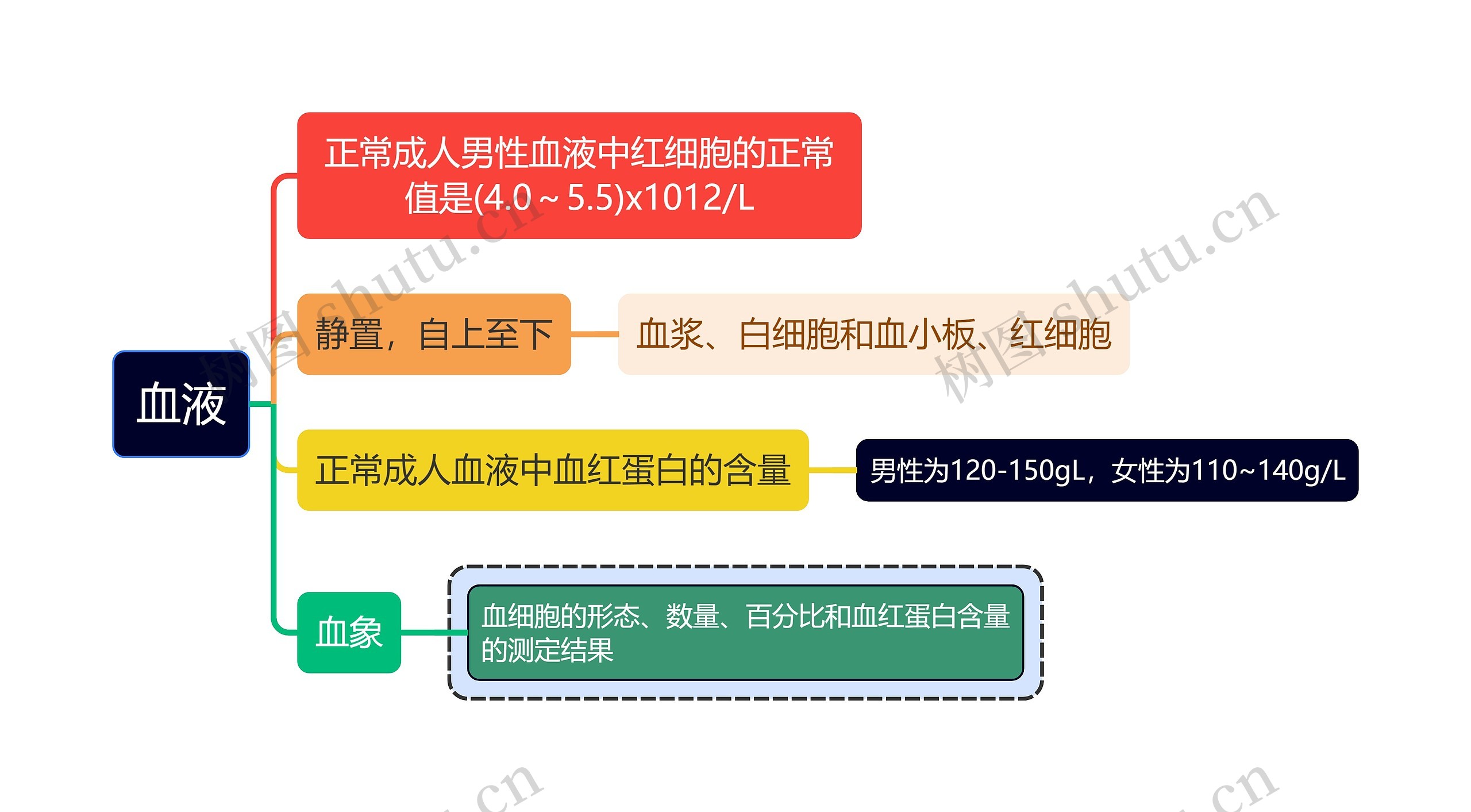 医学知识血液思维导图