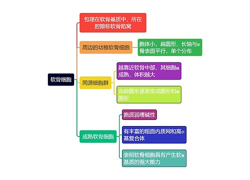 医学知识软骨细胞思维导图