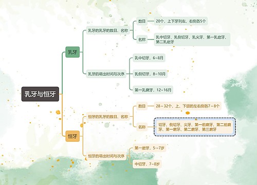 医学知识乳牙与恒牙思维导图