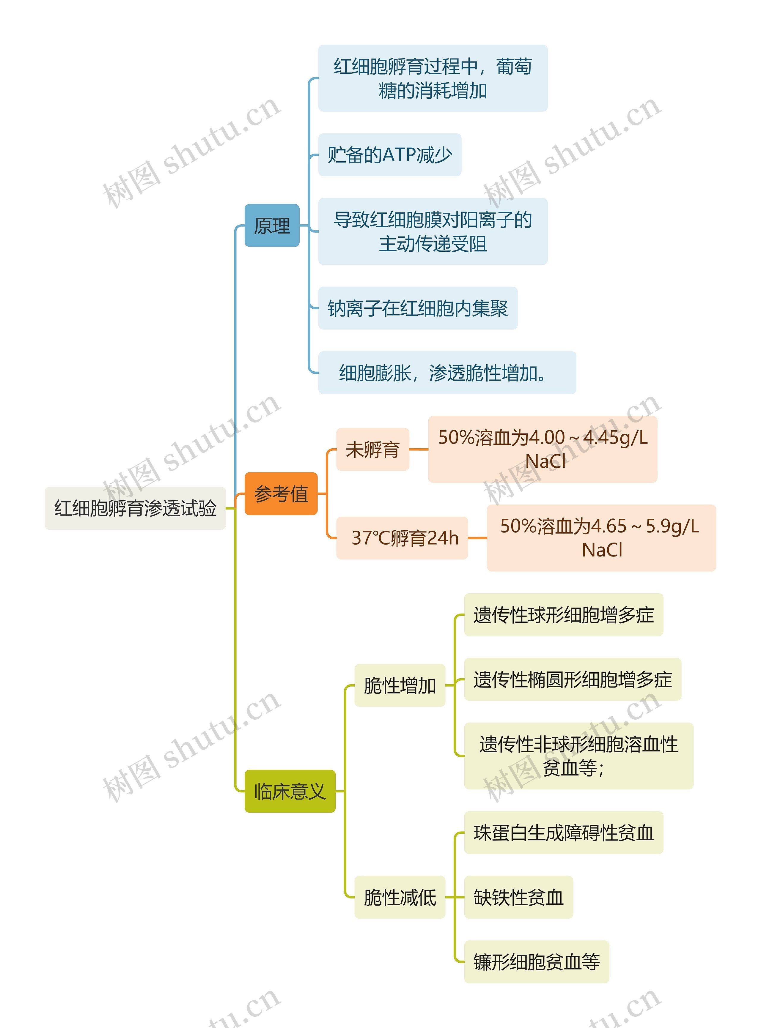 医学知识红细胞孵育渗透试验思维导图