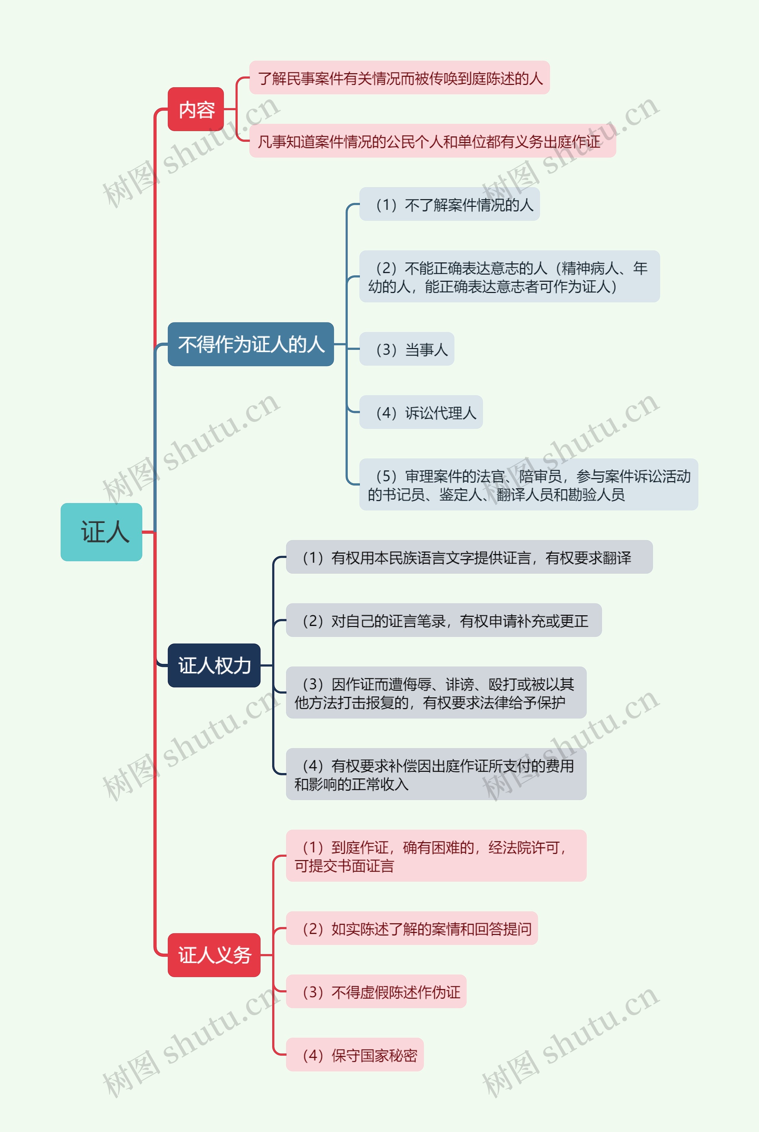  证人的思维导图