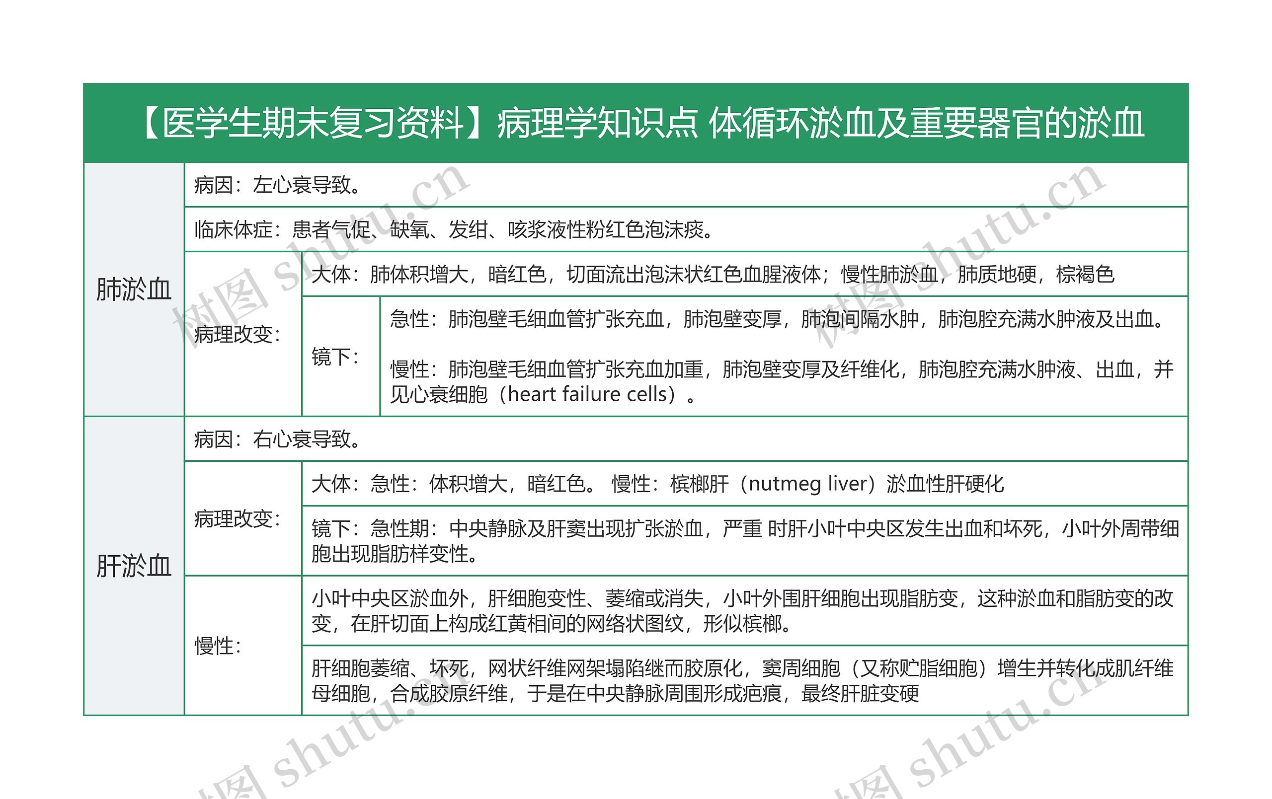 【医学生期末复习资料】病理学知识点 体循环淤血及重要器官的淤血