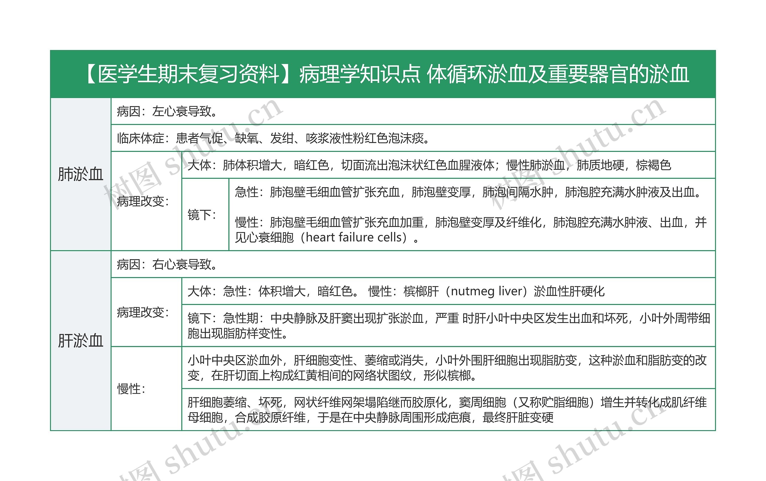 【医学生期末复习资料】病理学知识点 体循环淤血及重要器官的淤血思维导图