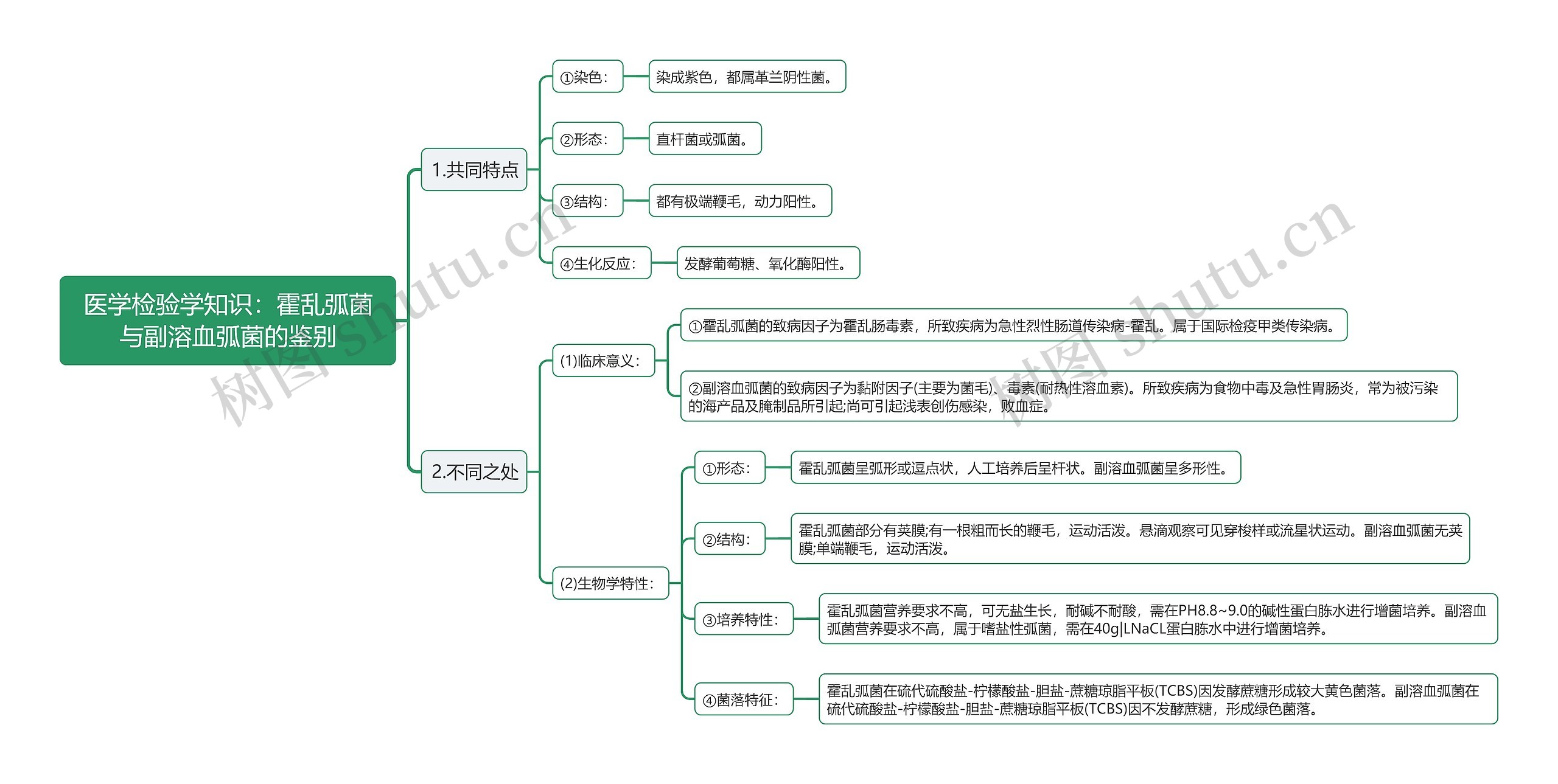 医学检验学知识：霍乱弧菌与副溶血弧菌的鉴别思维导图