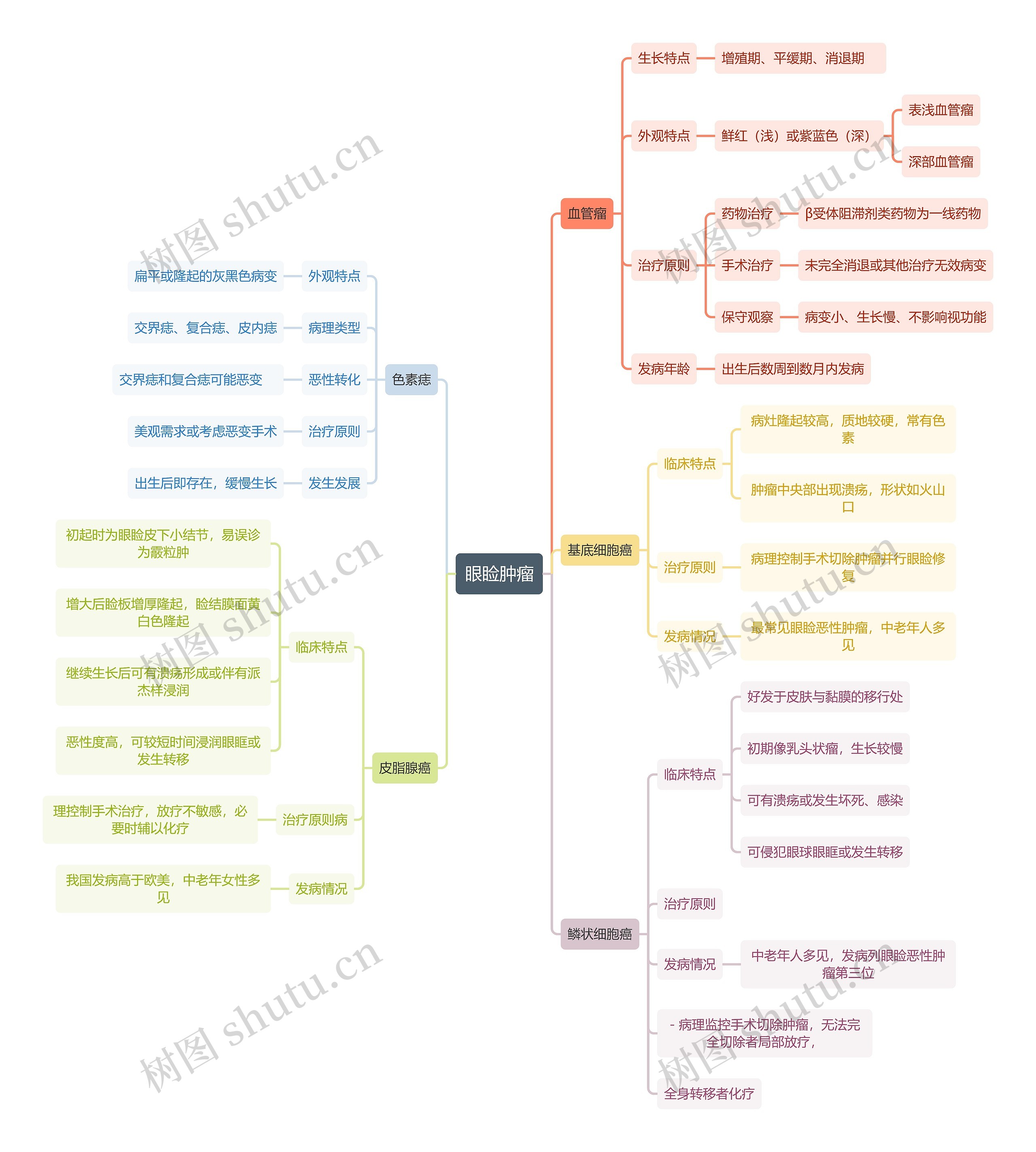 医学知识眼睑肿瘤思维导图