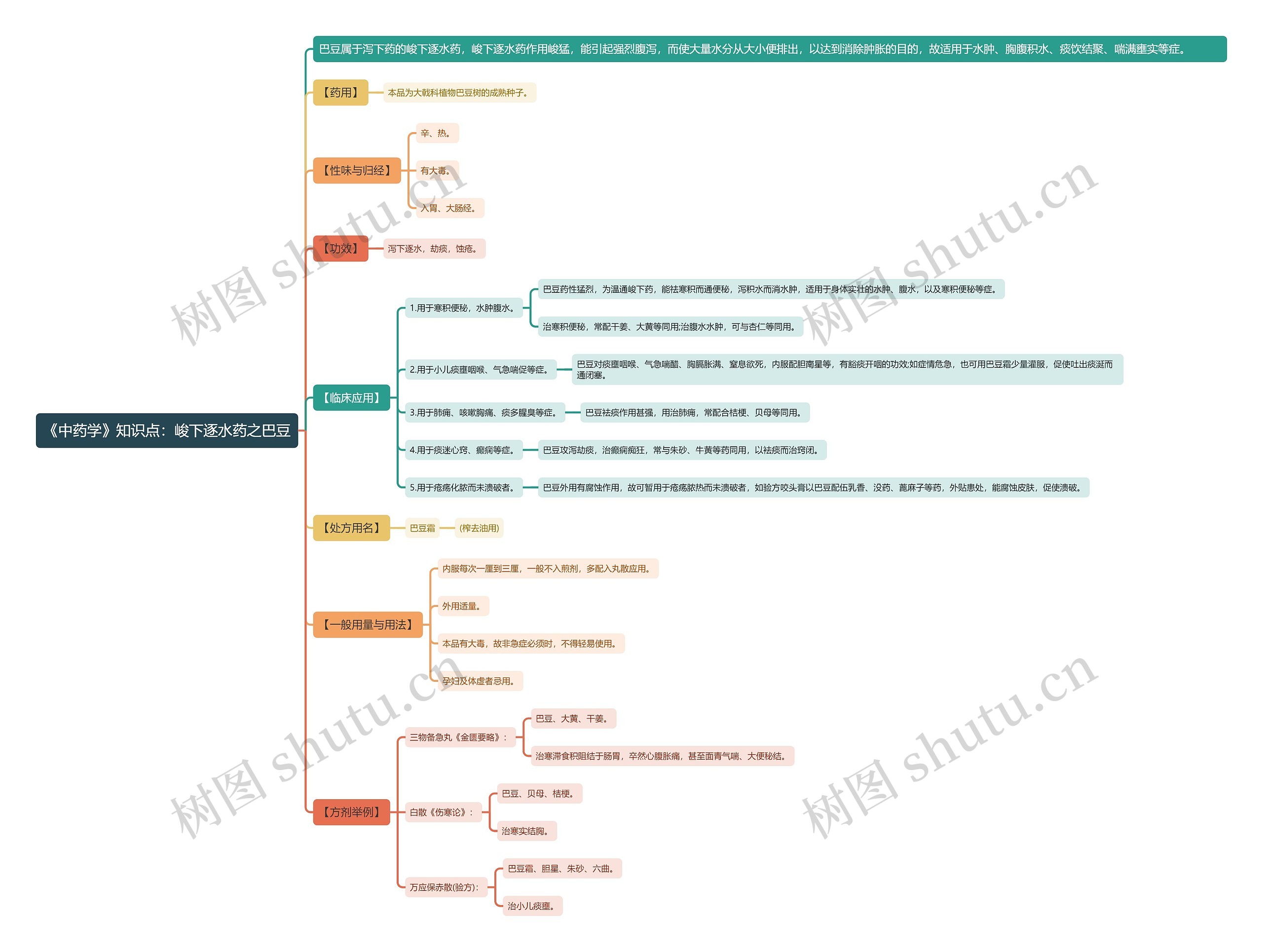 《中药学》知识点：峻下逐水药之巴豆思维导图