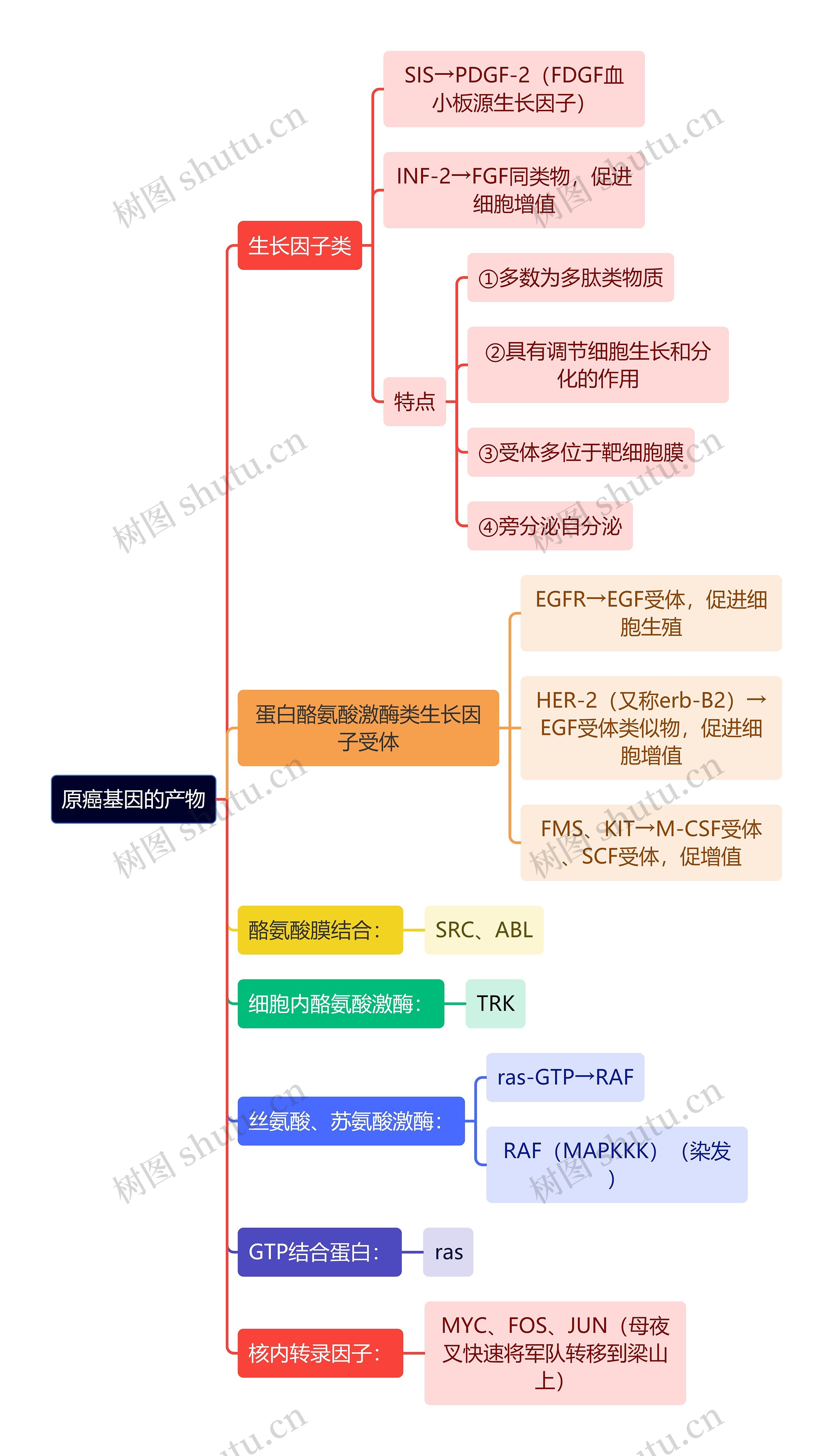 医学知识原癌基因的产物思维导图