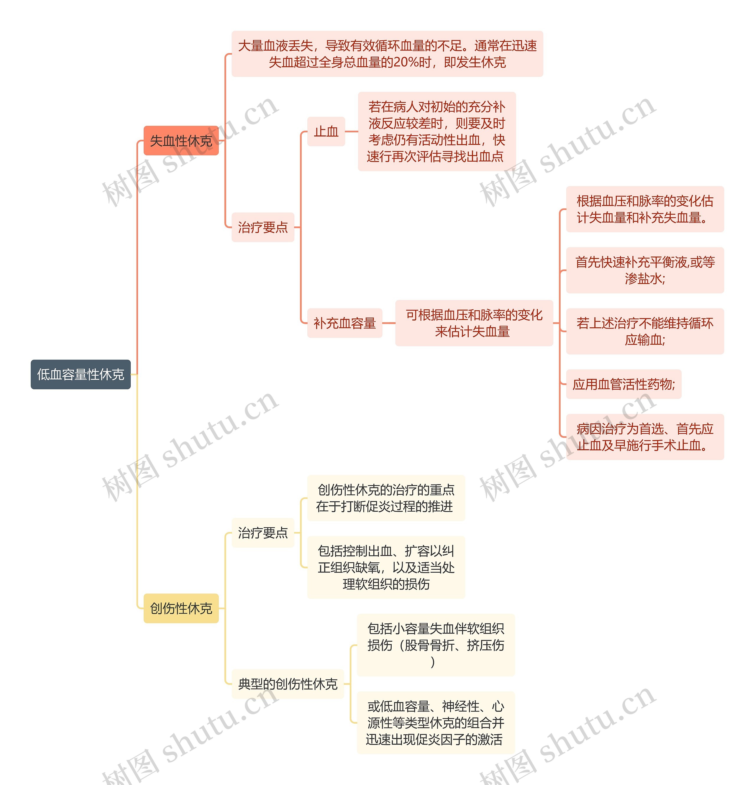 医学知识低血容量性休克思维导图