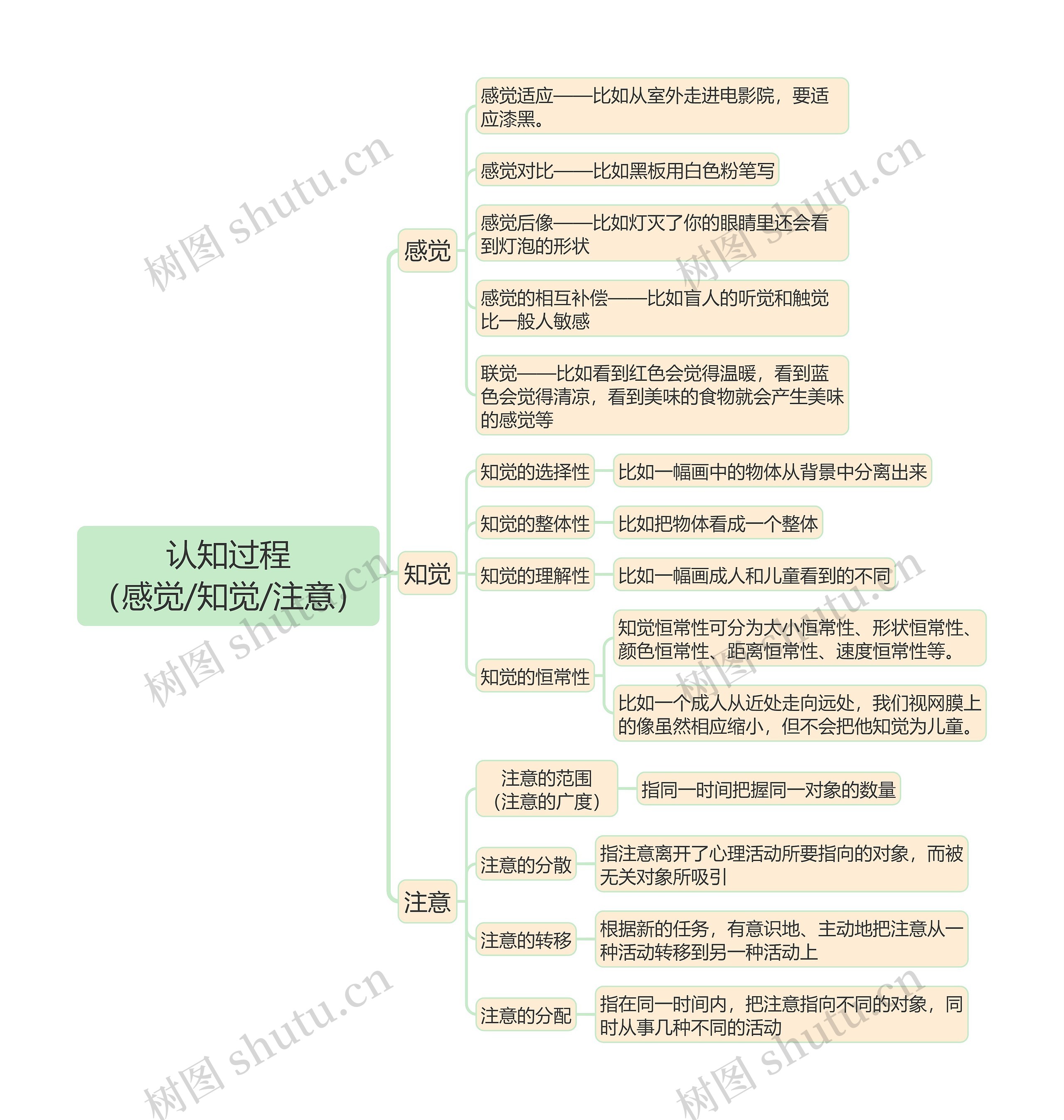 教育知识与能力《认知过程（感觉/知觉/注意）》思维导图
