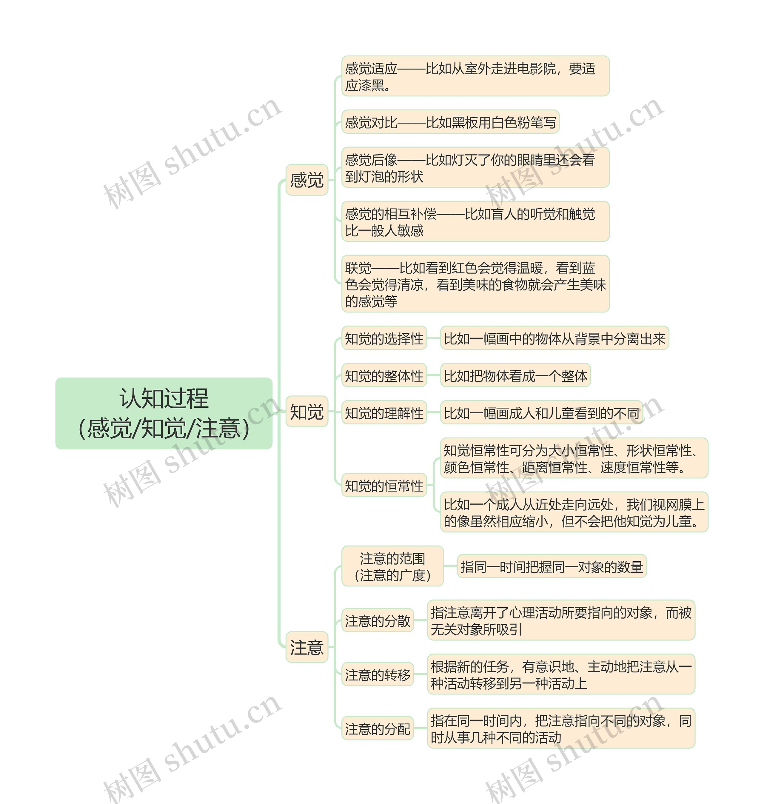 教育知识与能力《认知过程（感觉/知觉/注意）》思维导图