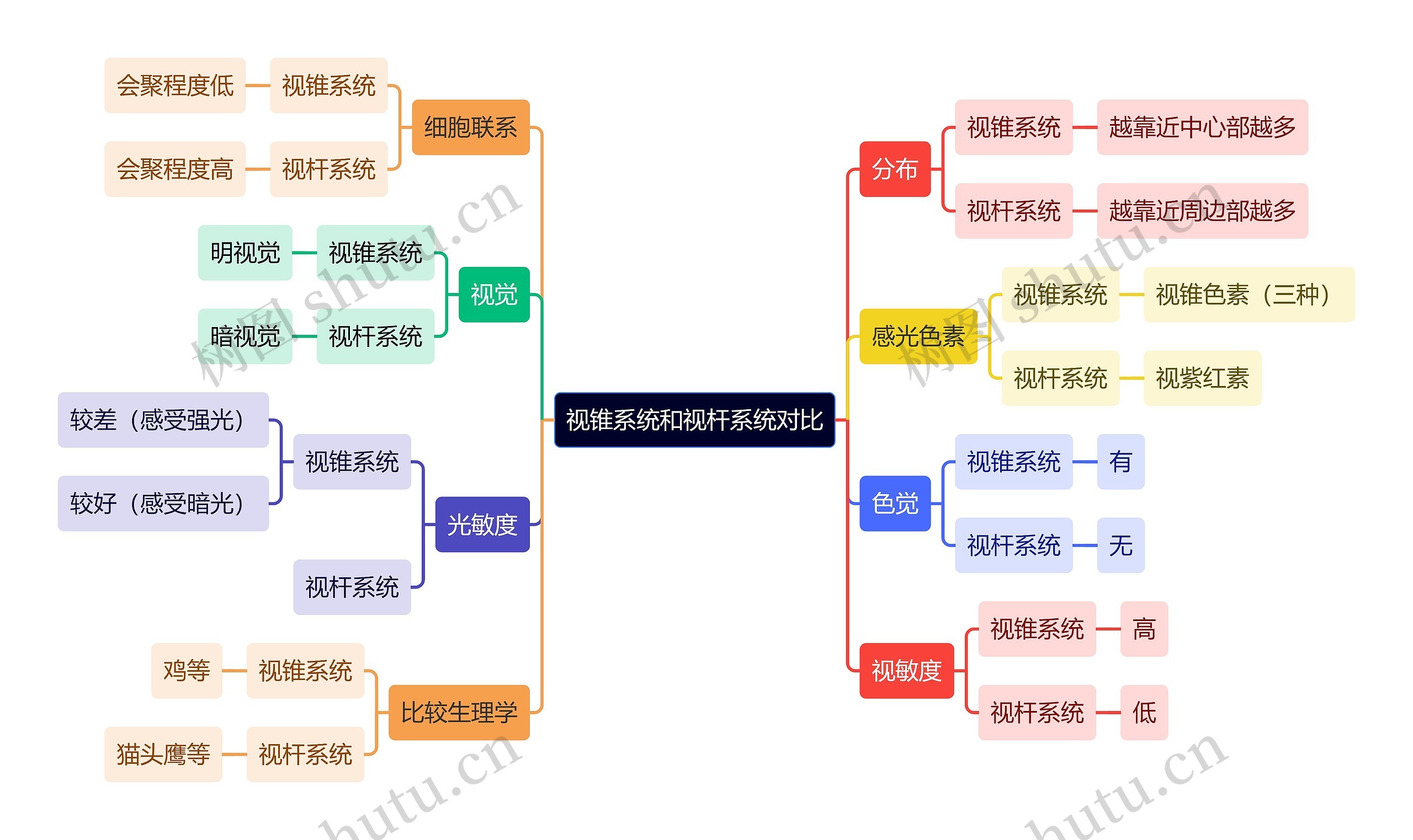 医学知识视锥系统和视杆系统对比思维导图