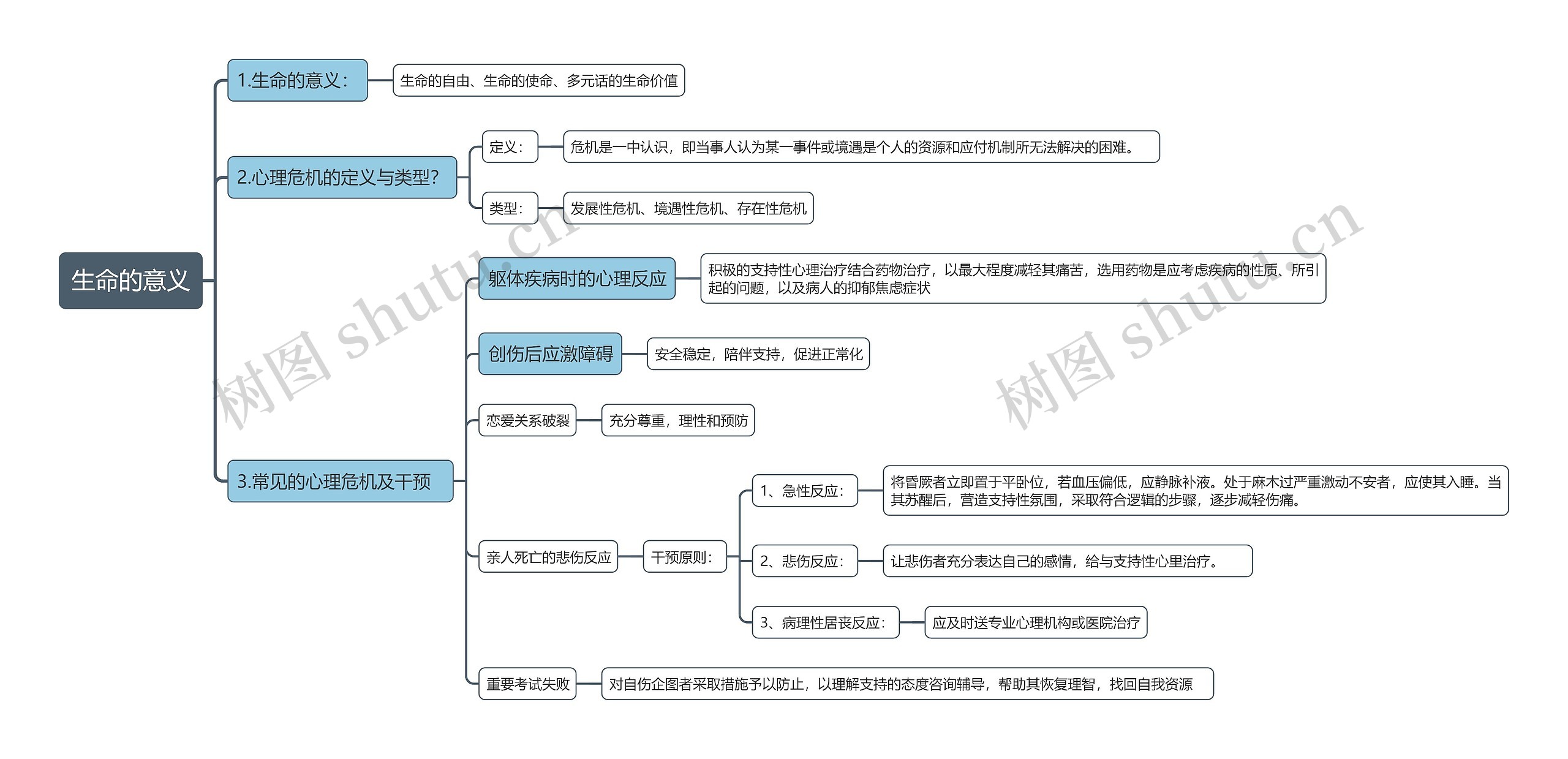 生命的意义思维导图