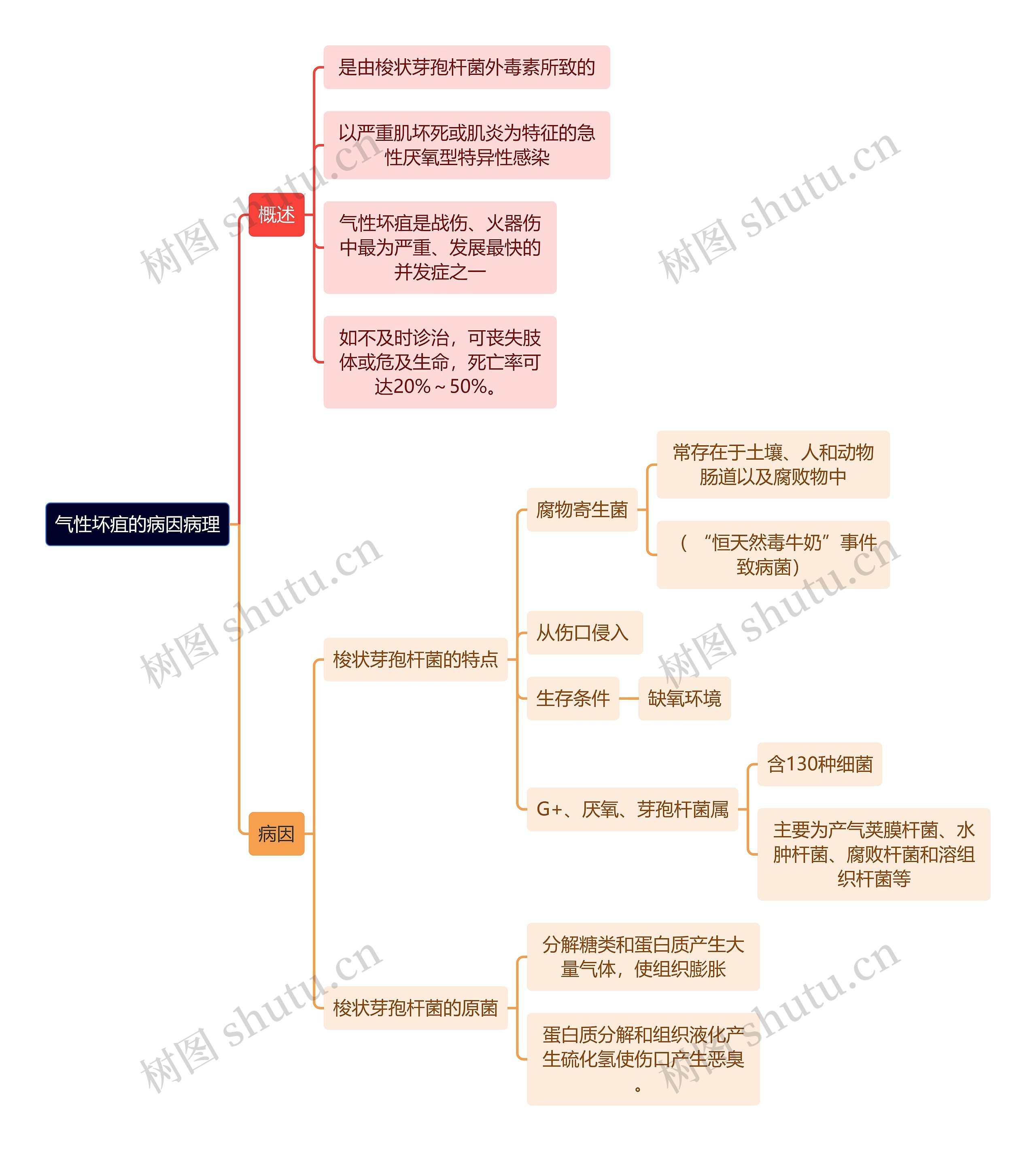 气性坏疽的病因病理思维导图