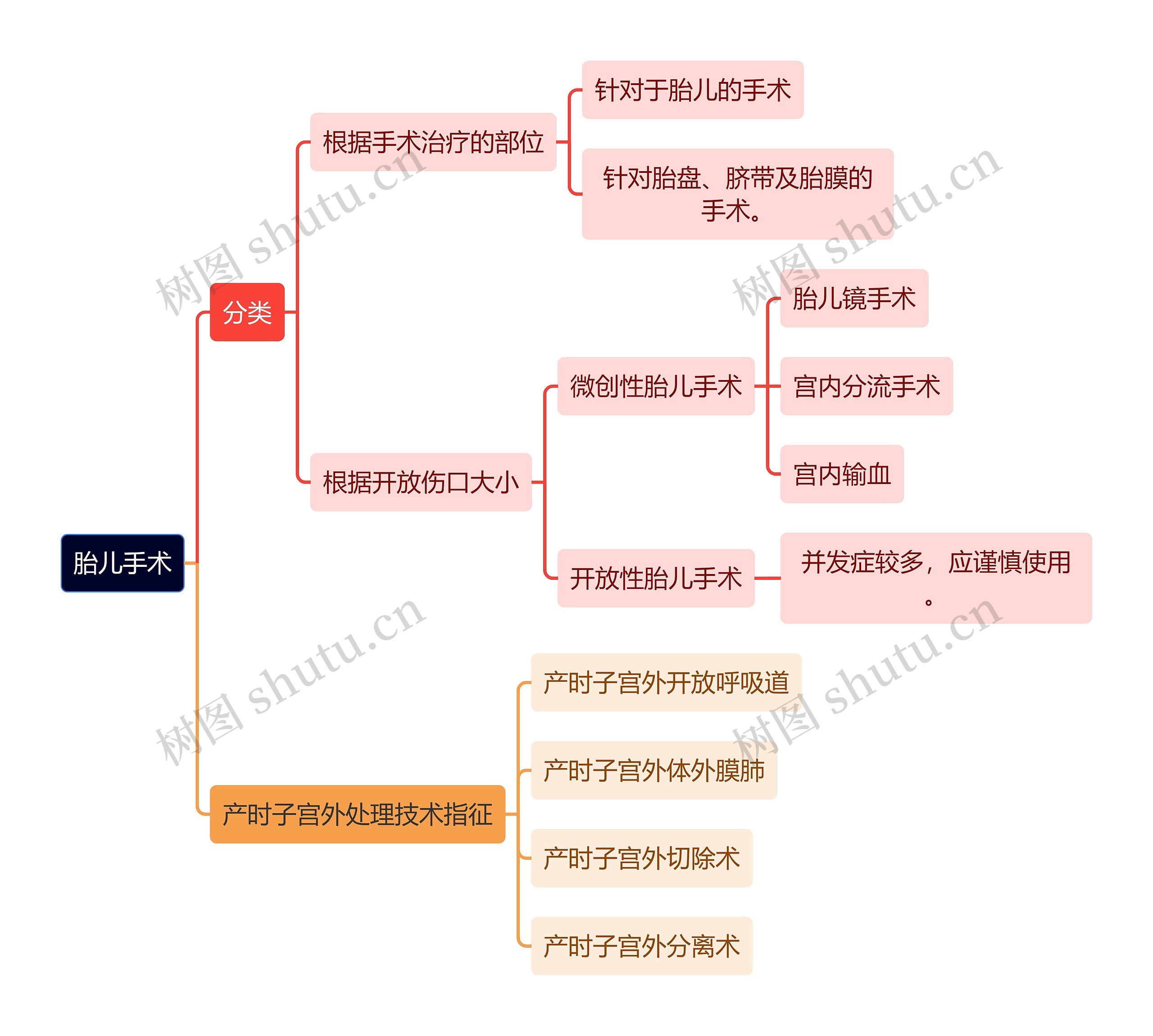 医学知识胎儿手术思维导图