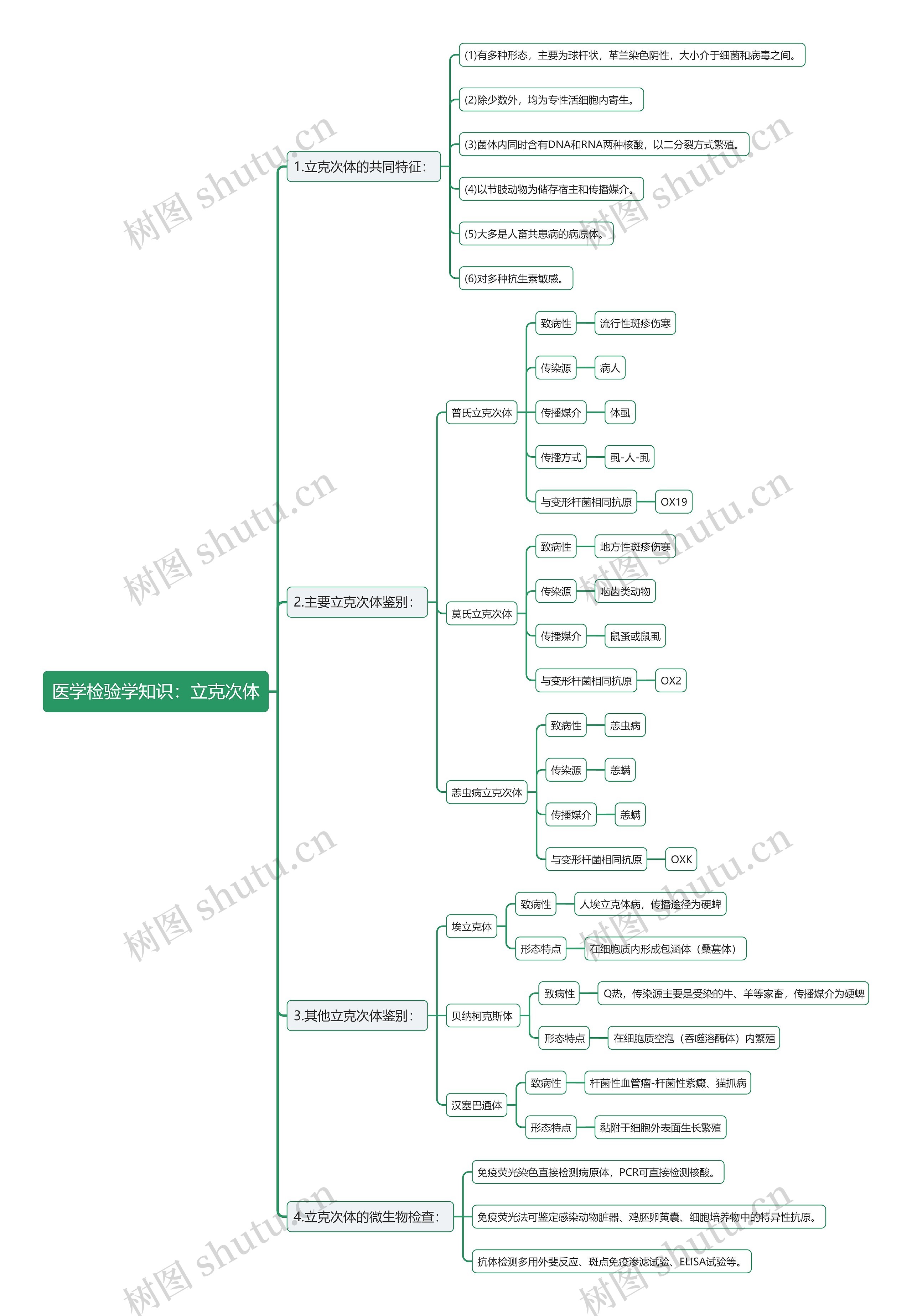 医学检验学知识：立克次体思维导图