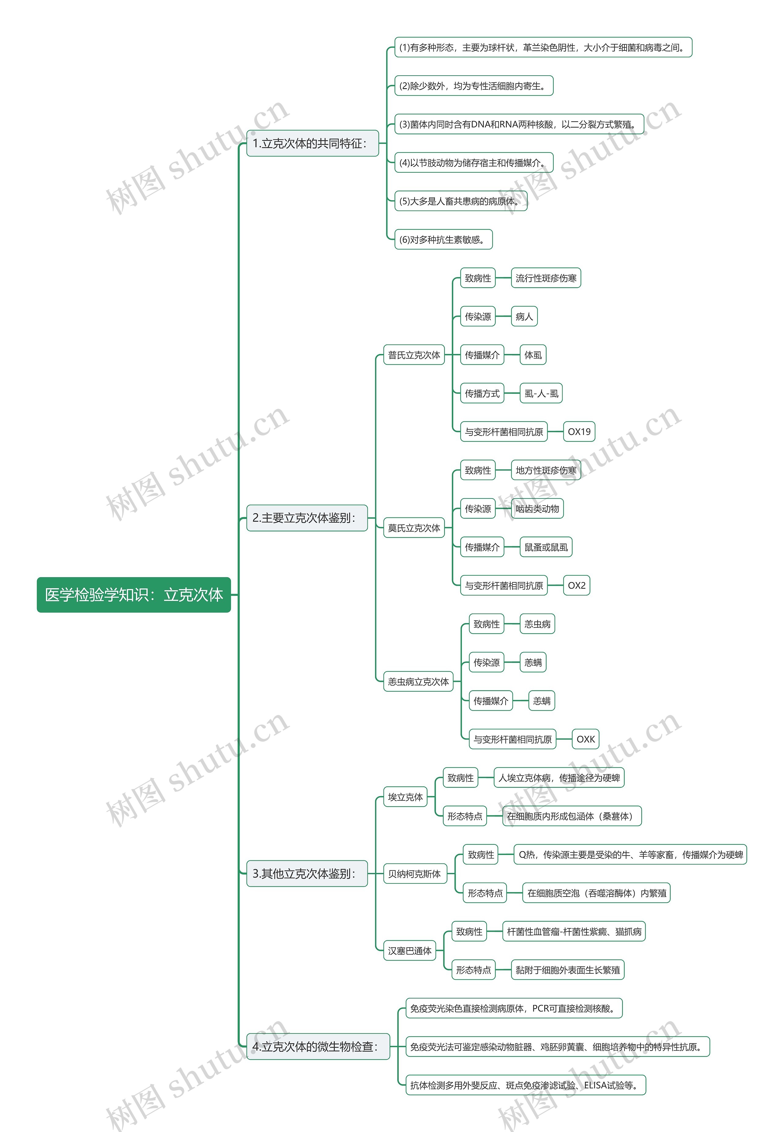 医学检验学知识:立克次体思维导图高清图 医学检验学知识:立克次体思维导图