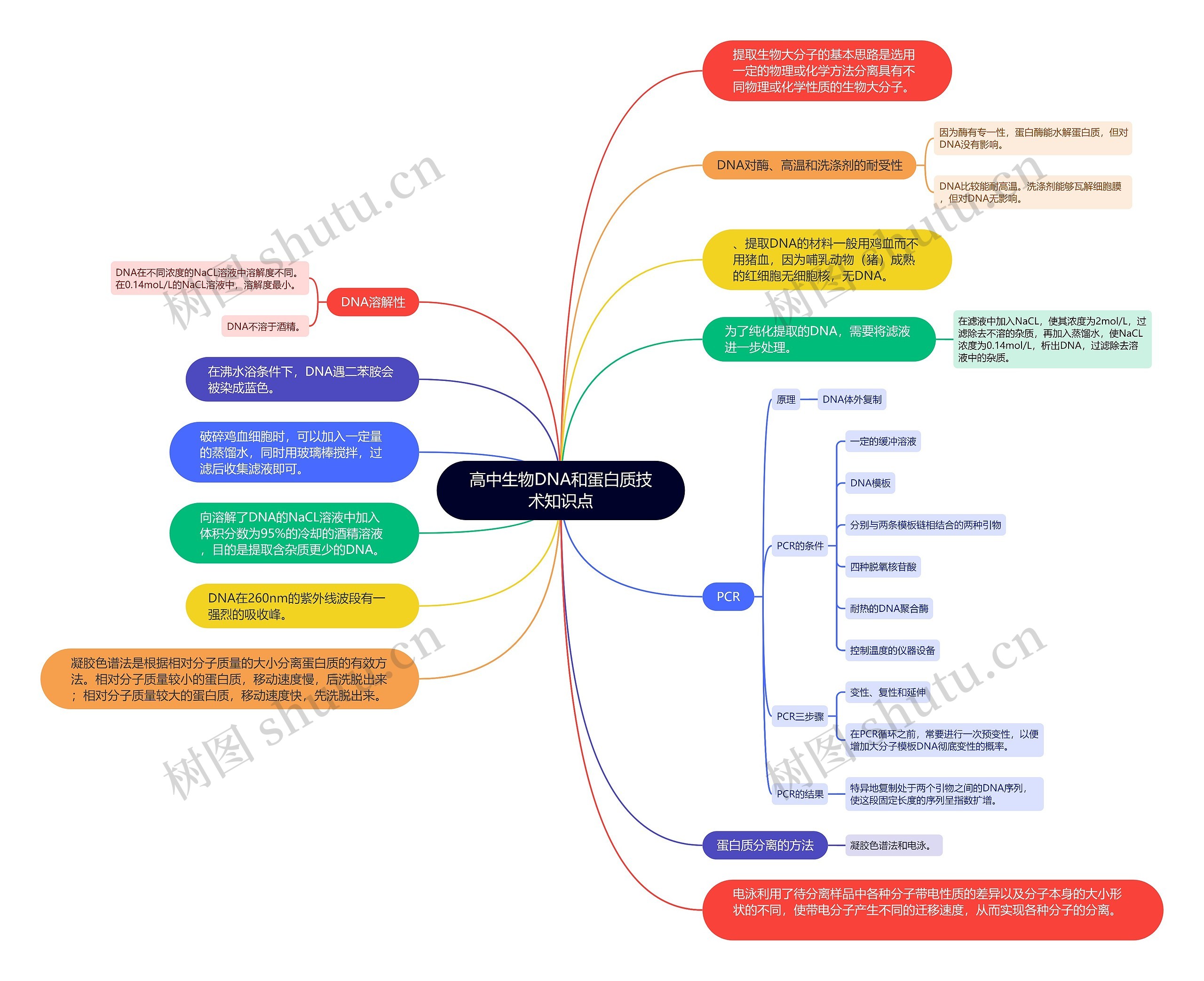 高中生物DNA和蛋白质技术知识点思维导图
