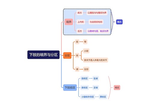 医学下肢的境界与分区思维导图