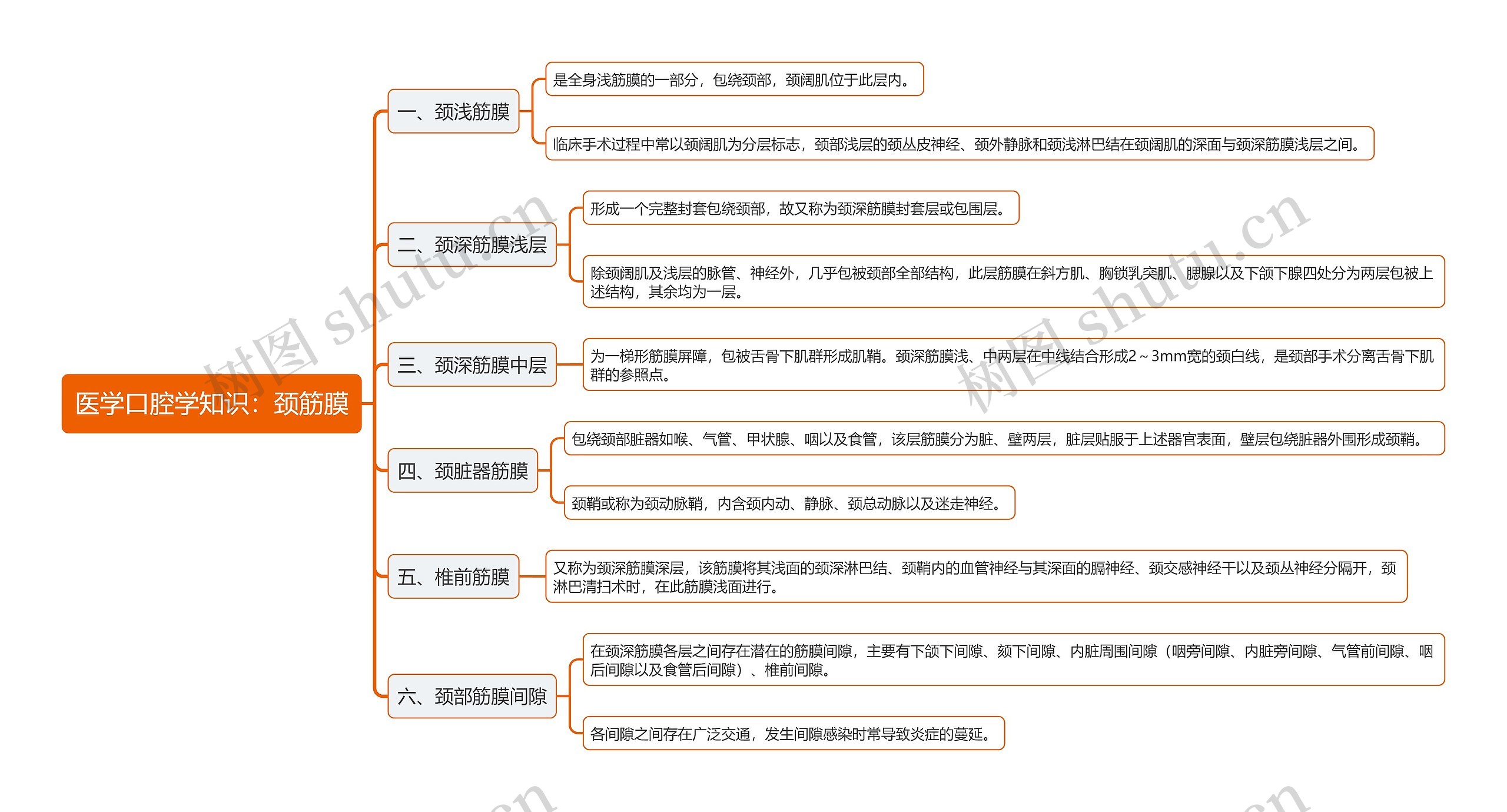 医学口腔学知识：颈筋膜思维导图