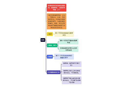 医学知识肋骨思维导图