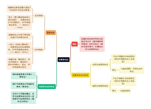 医学知识电紧张电位思维导图